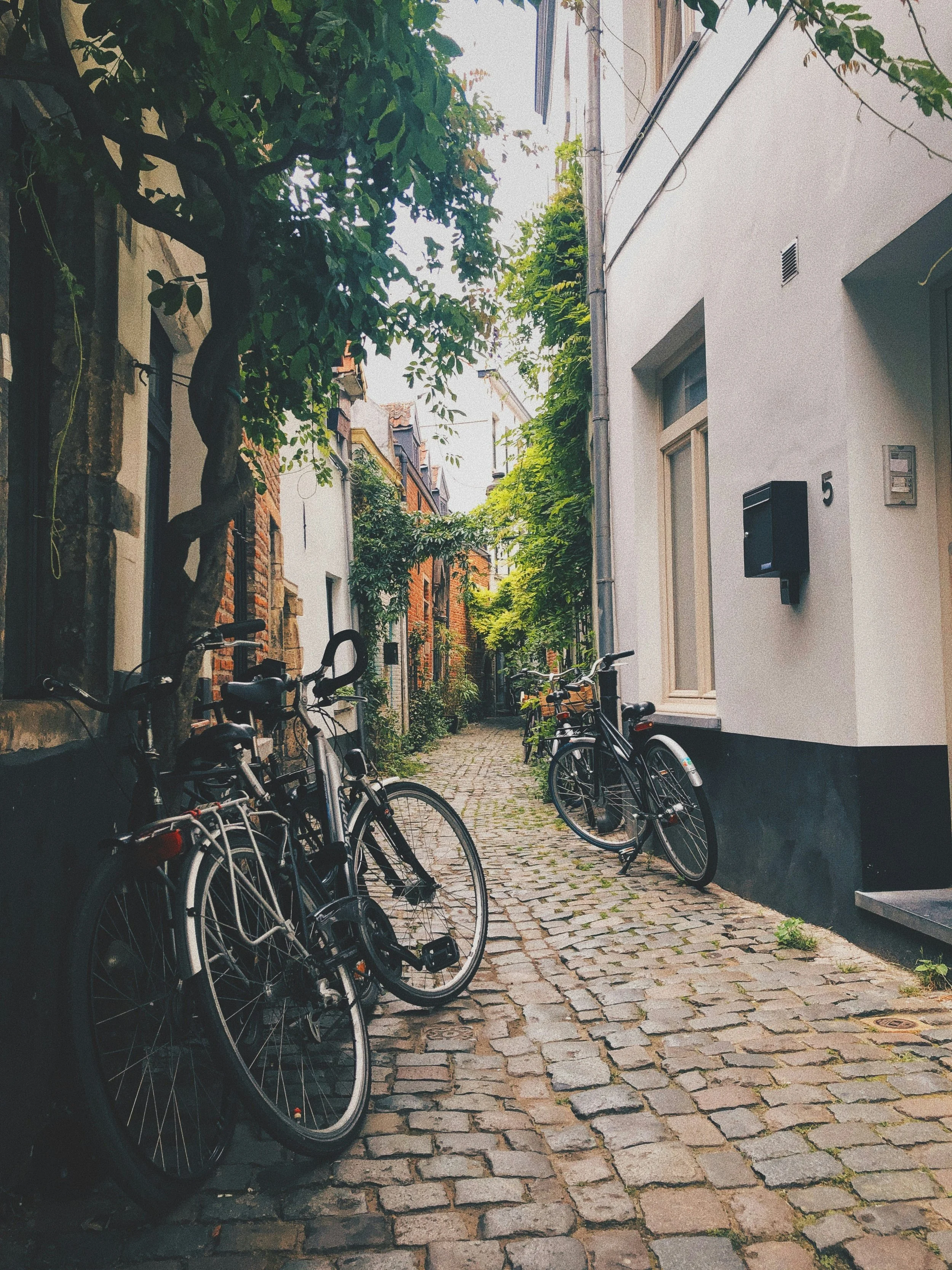Bicycles parked along a cobblestone alleyway lined with trees and buildings.