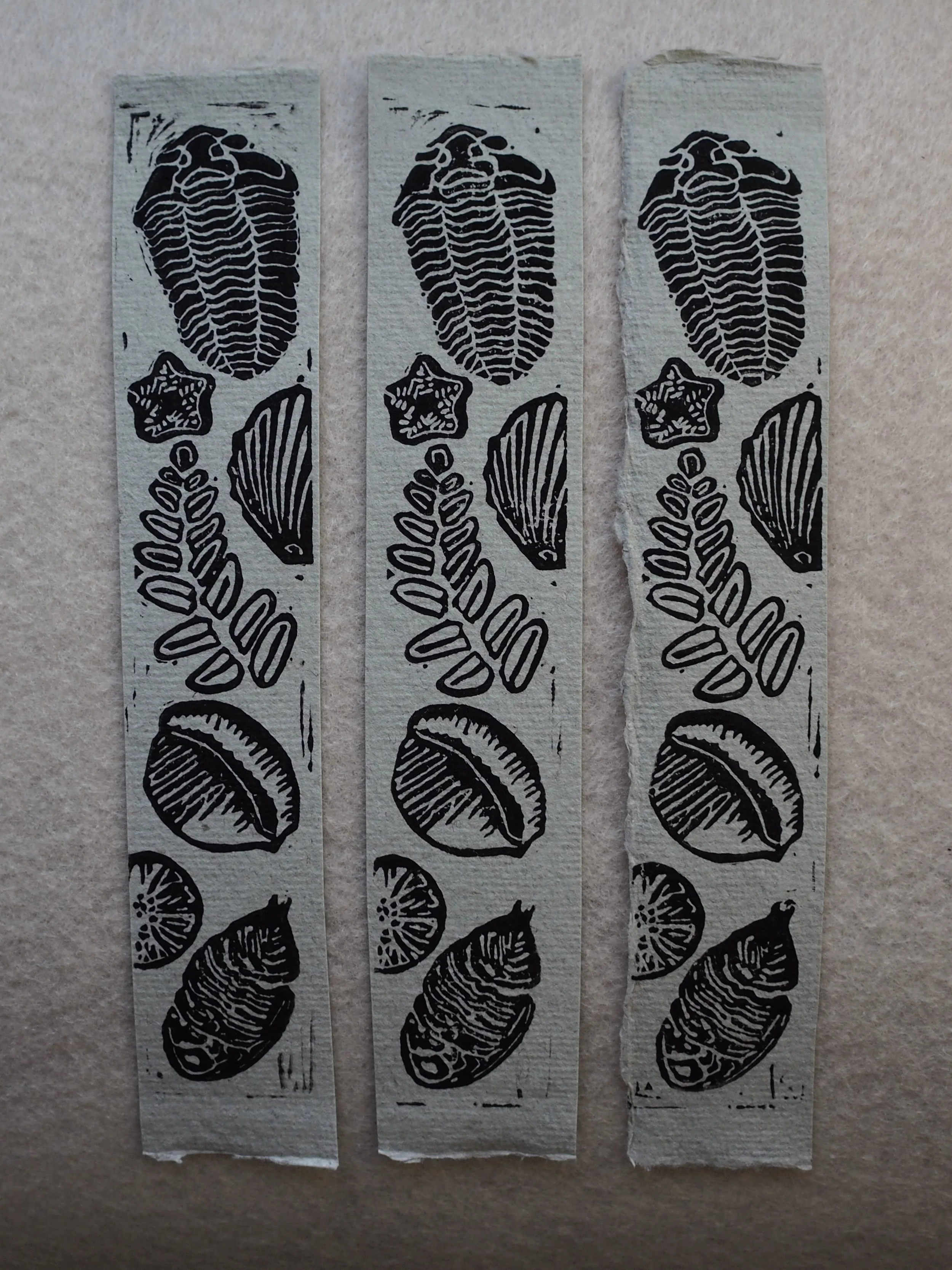 Fossil Bookmark