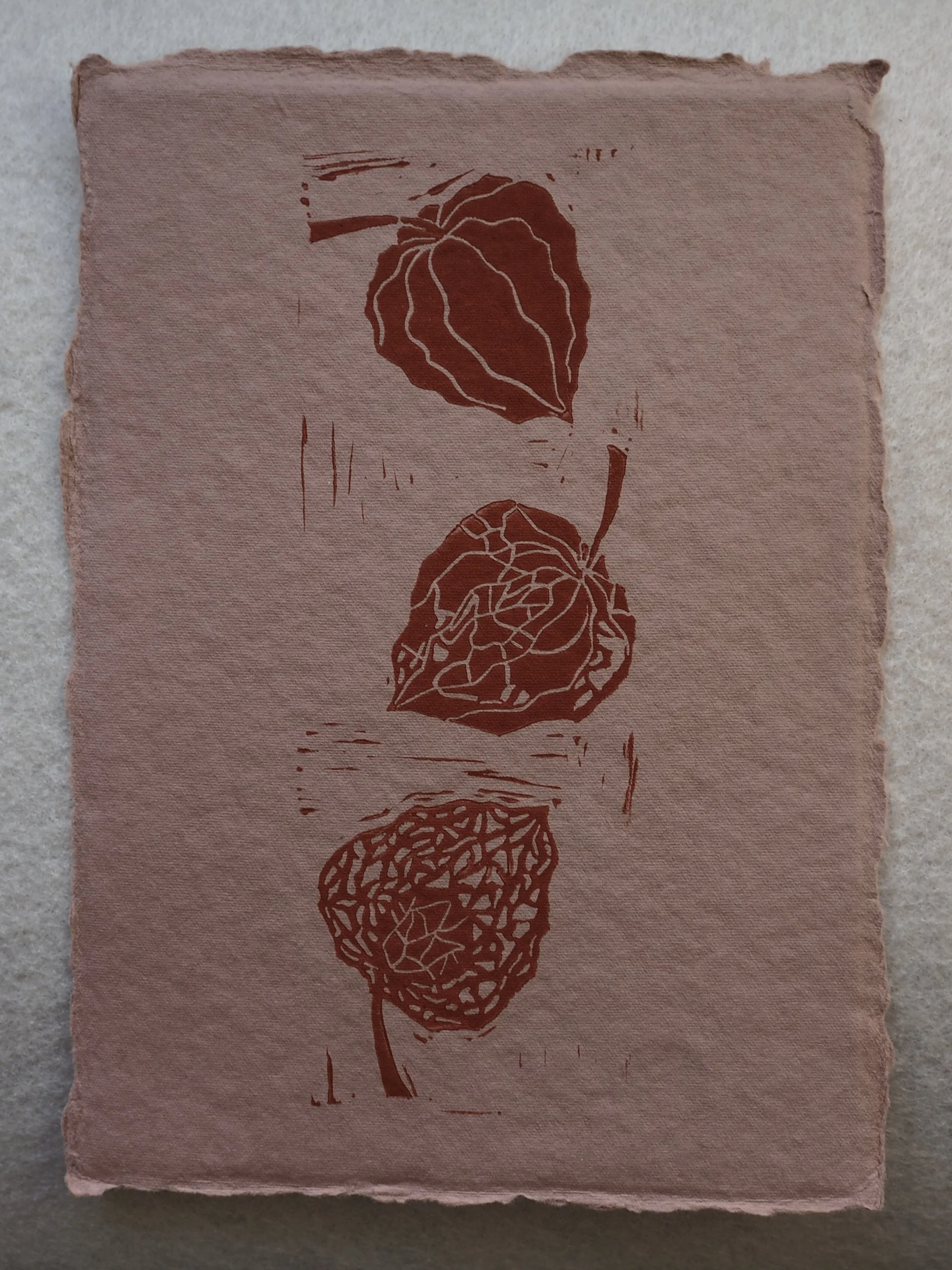 Drying Lantern Fruit