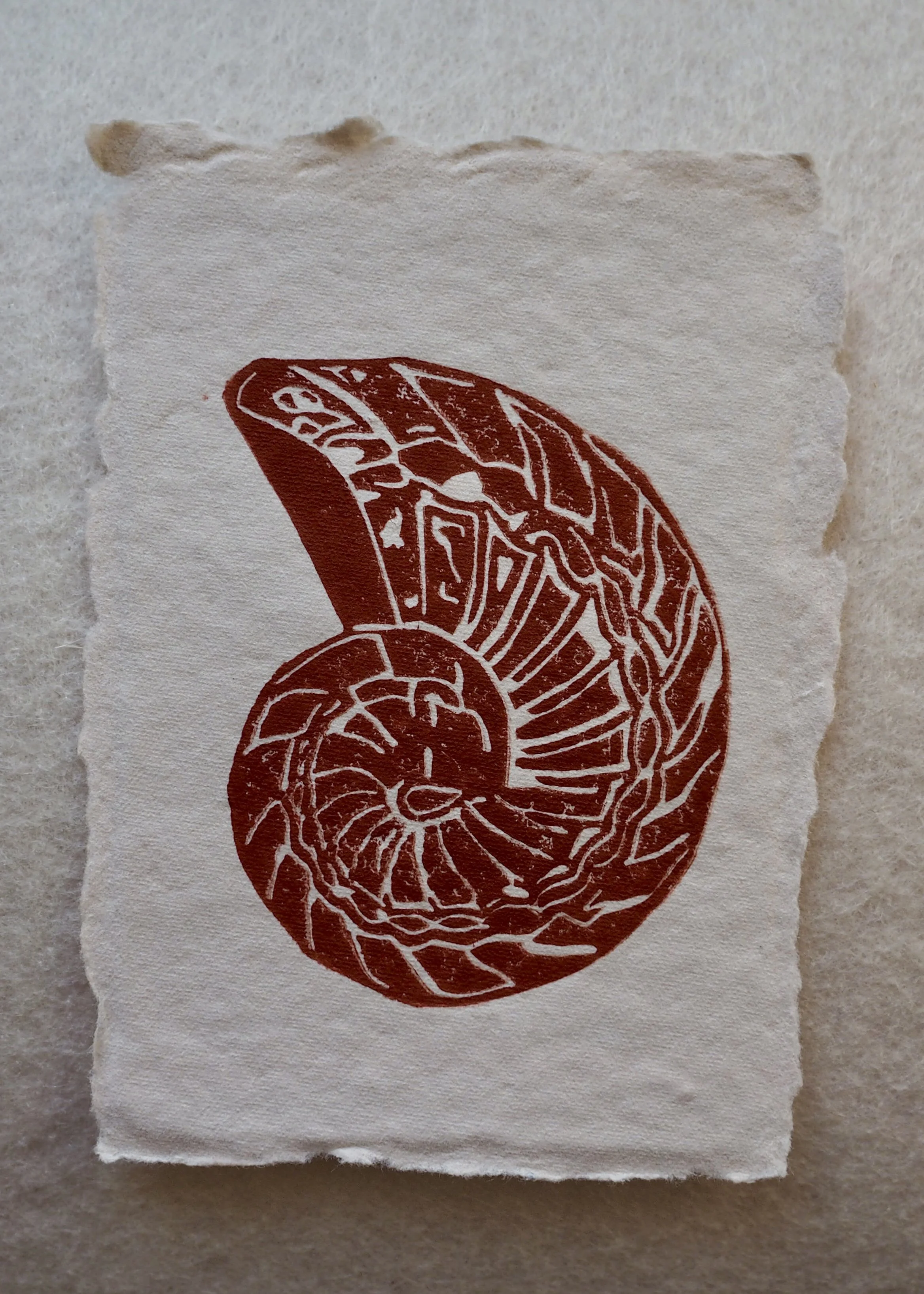 Nautilus Fossil (mini)