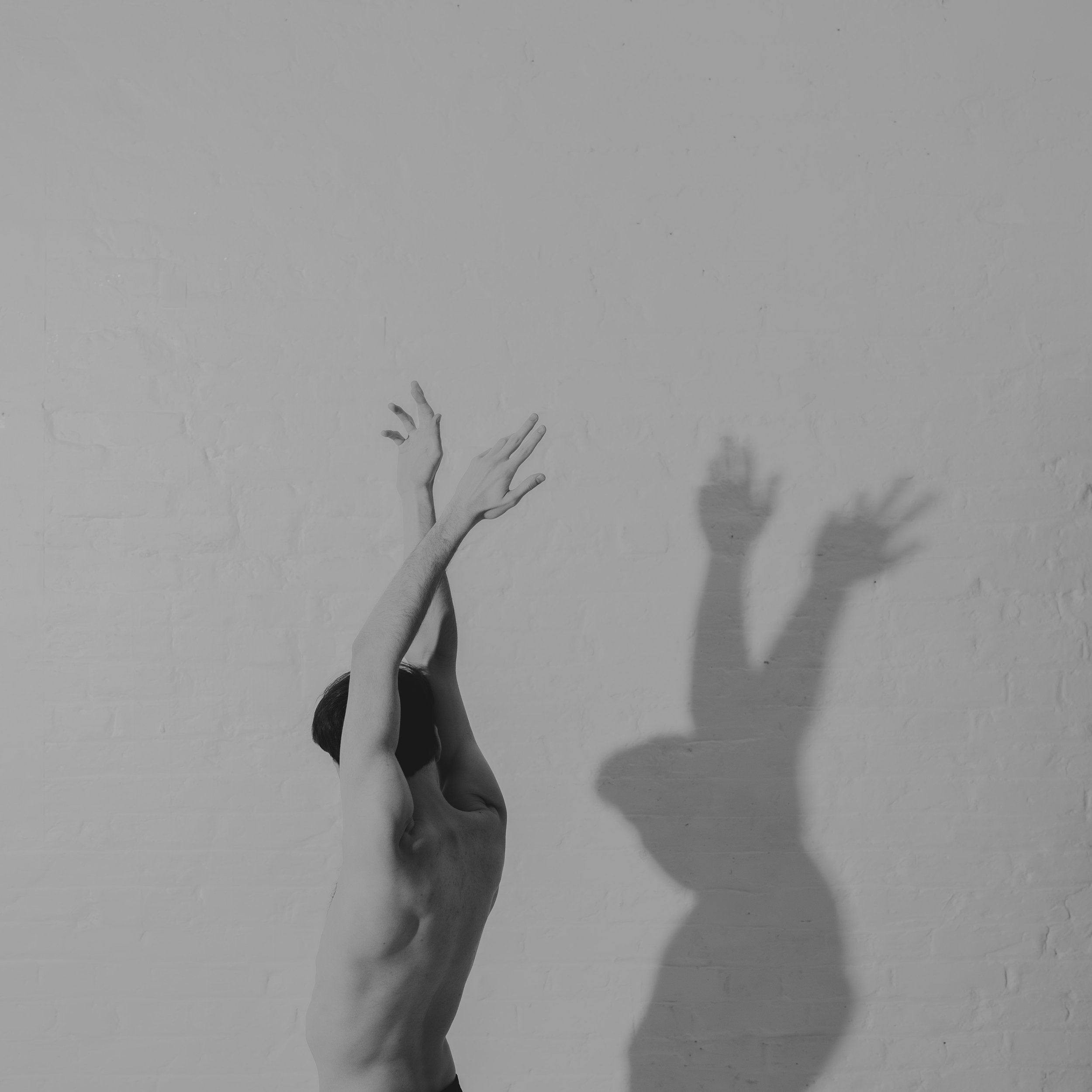 goldberd mid res_-29.jpg