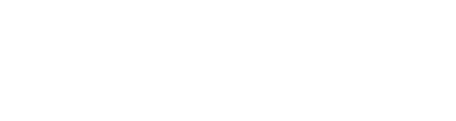 THE FORGE INSTITUTE INC.