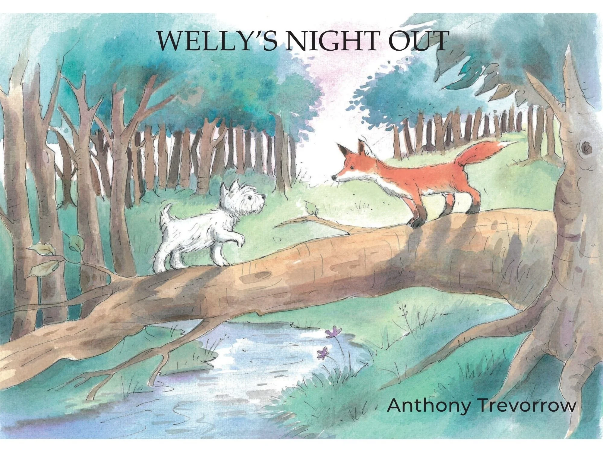 Cover of childrens book Wellys night out with illustrations by Frank Endersby