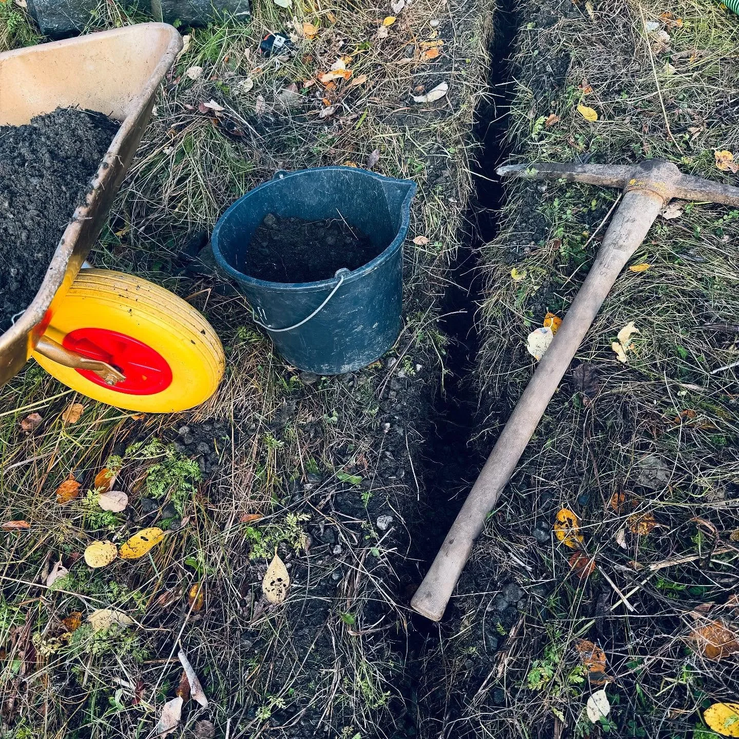 GREVLING P&Aring; G&Aring;RDEN 🦡🏚️
N&aring;r man ikkje har r&aring;d til gravemaskin &ndash; men heldigvis har en liten grevling i magen 😄 G&aring;rdskjerringa tar spaden fatt! 🪏💪🏼 Alt skjer i siste liten (som alltid for ei som har mange baller