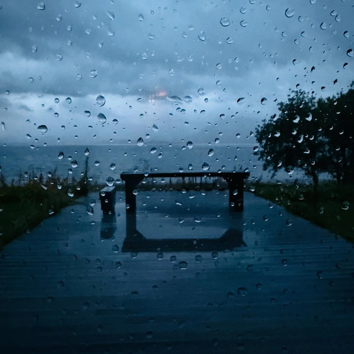 H&Oslash;STEN I ANMARSJ: Da va sommeren rydda bort og frk. H&oslash;st &oslash;nskes litt motvillig velkommen til gards 🍁🍂☺️

Bordet p&aring; terrassen min e forresten laga av gamle t&oslash;mmerstokka fra l&aring;vebrua, fint ka? 🤩 &AElig; elske 