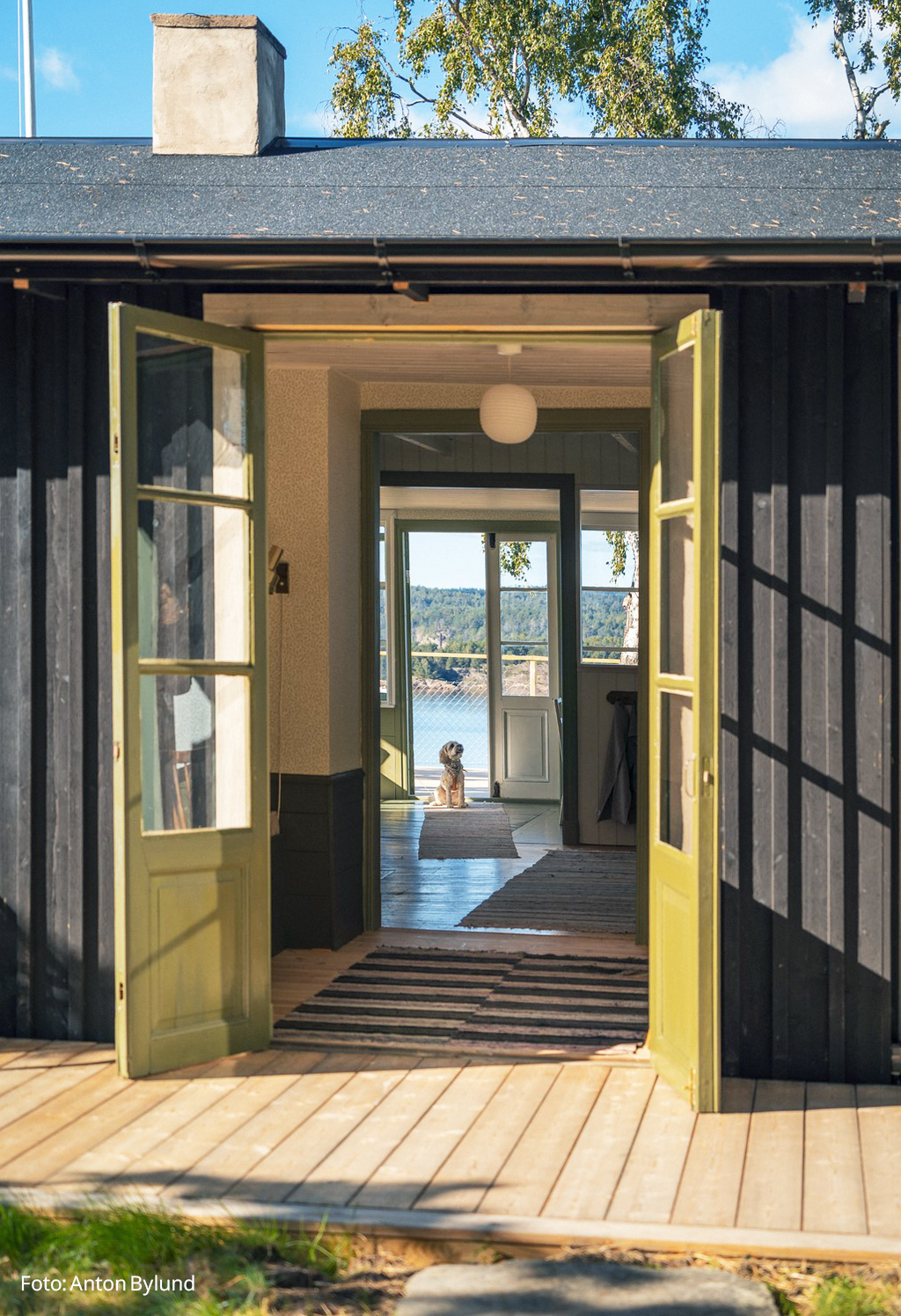 17202397 red text.png