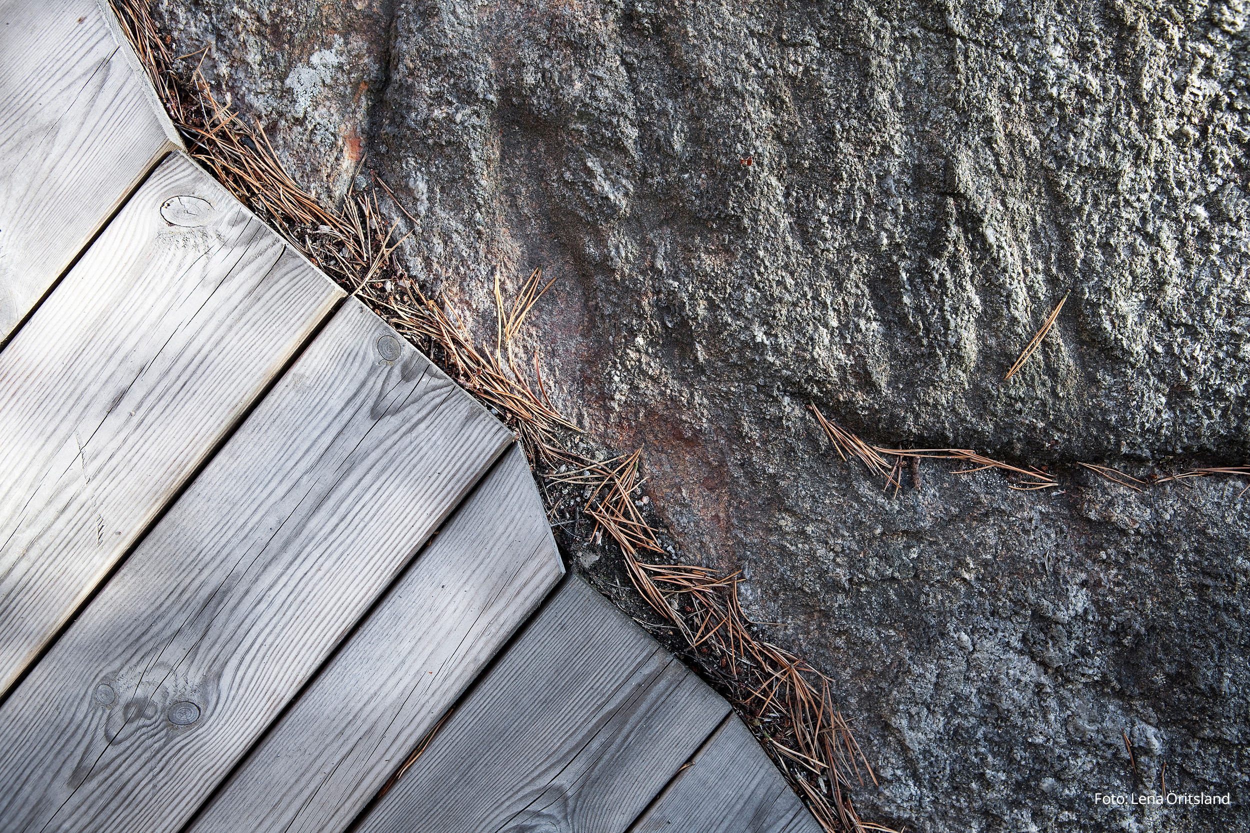 web_20130819_sunna_0094 text.png