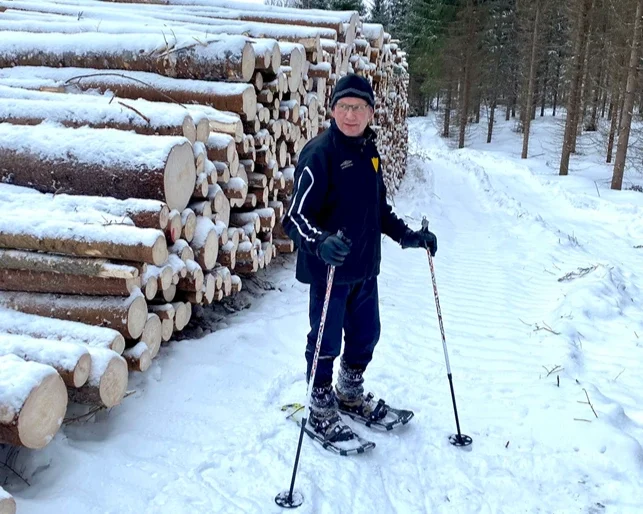 Metsätilan markkina-arvo, muut arvot ja arviointi