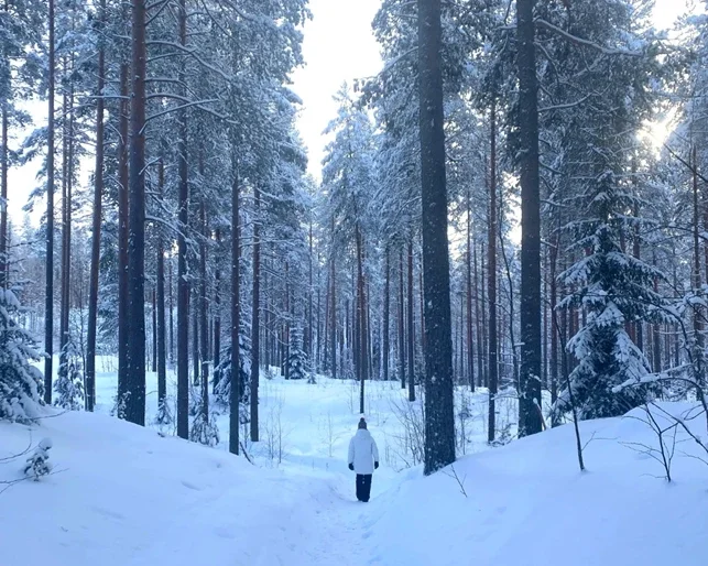 Metsätilakauppa vai puukauppa?