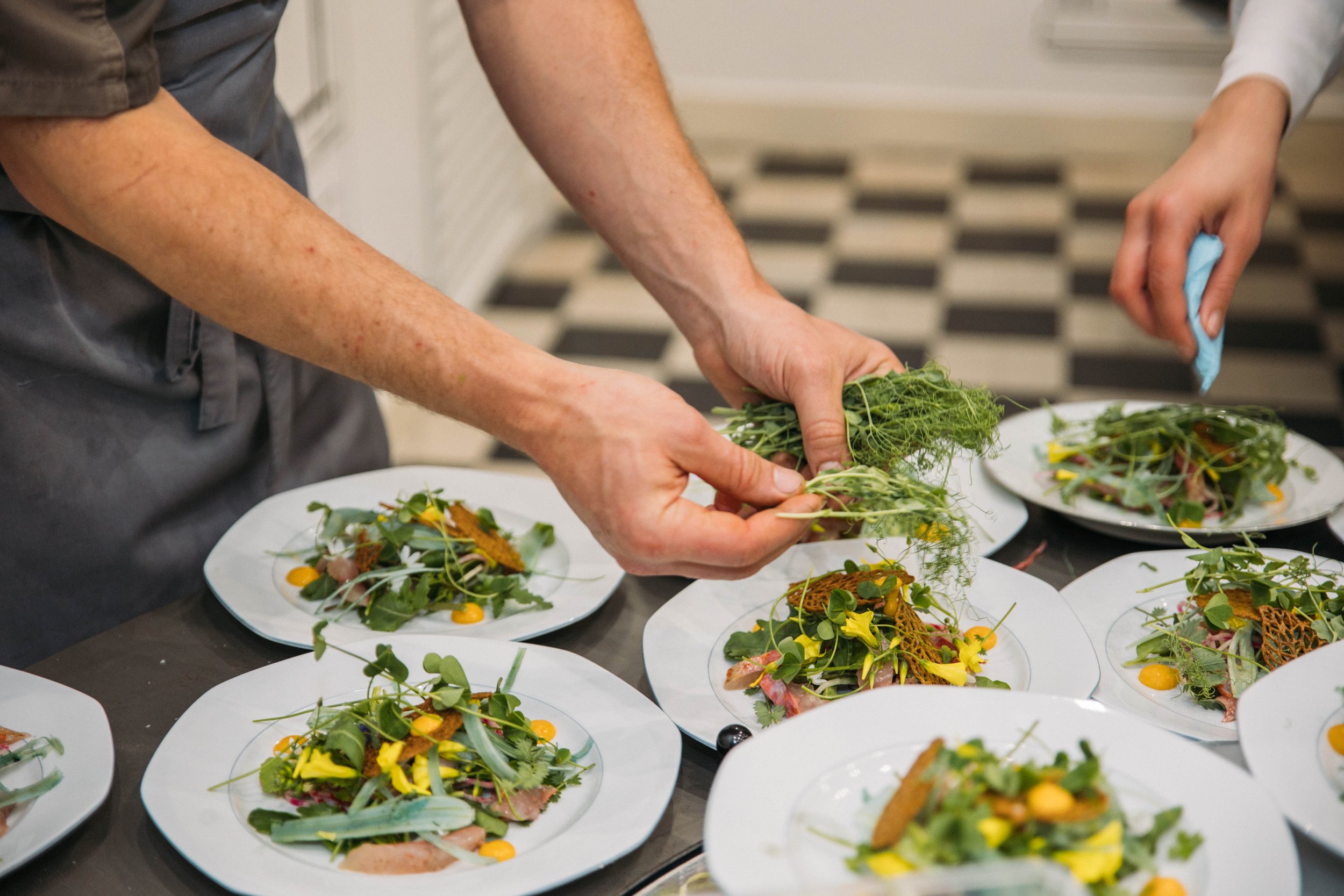 Chef garnishing multiple plates with fresh herbs in a professional kitchen.