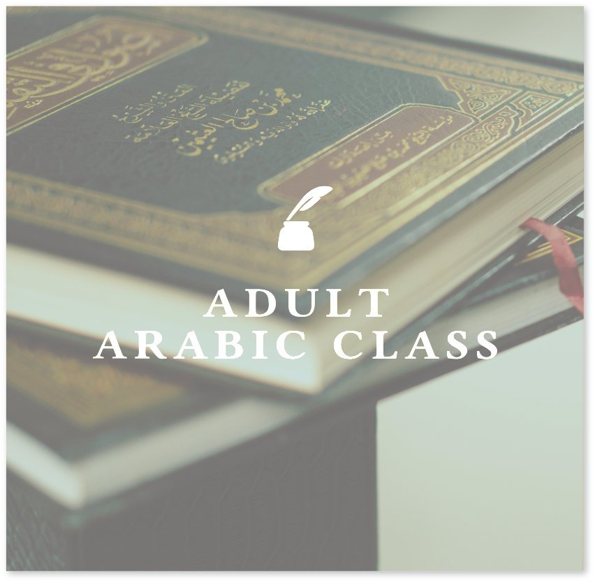 Adult Arabic