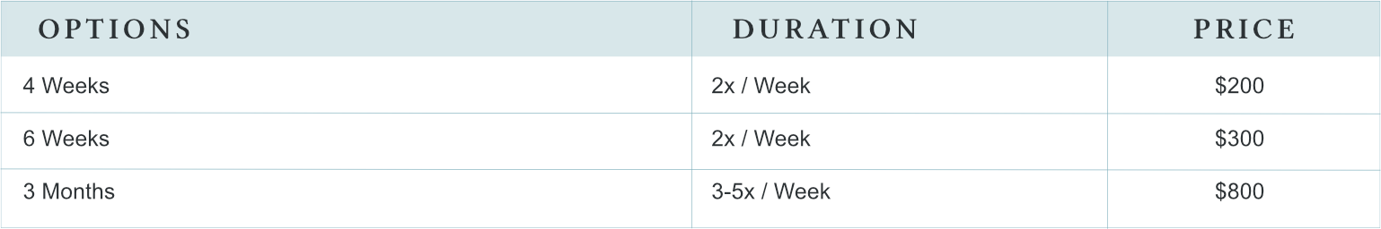 Price options table for a service, showing durations of 4 weeks, 6 weeks, and 3 months, with respective prices of $200, $300, and $800, and frequency of twice per week for the first two options, and 3 to 5 times per week for the third.