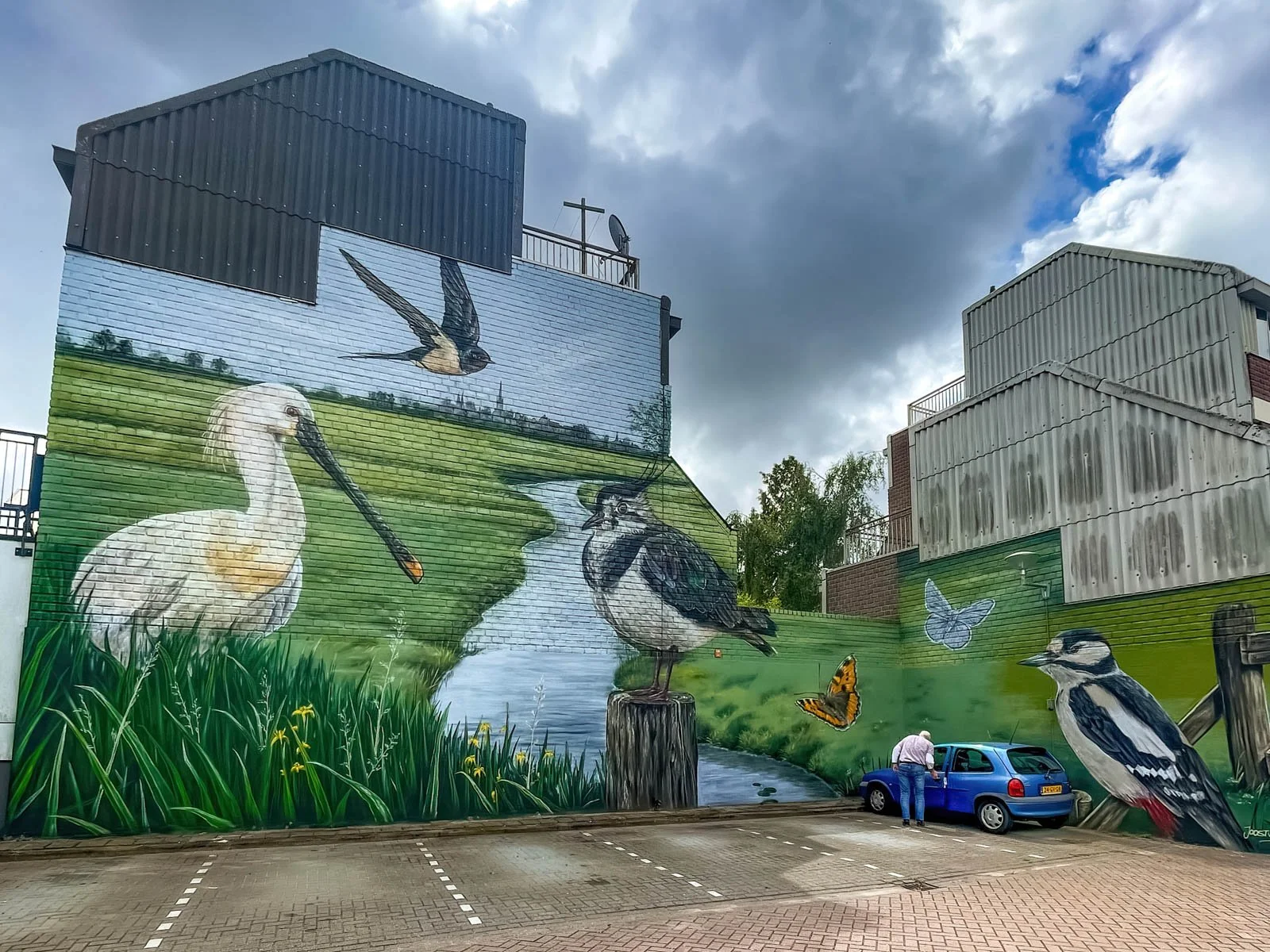 Muurschildering Alkmaar - Weidevogels