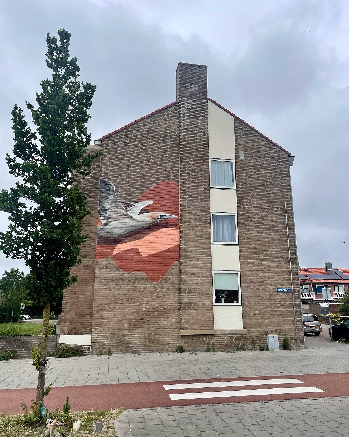 Een mooi project van afgelopen jaar in IJmuiden ✨
In samenwerking met de bewoners heb ik 14 unieke ontwerpen mogen realiseren voor de nieuw gerenoveerde gevels. Ge&iuml;nspireerd door de prachtige omgeving en de dieren die hier &eacute;cht thuishoren