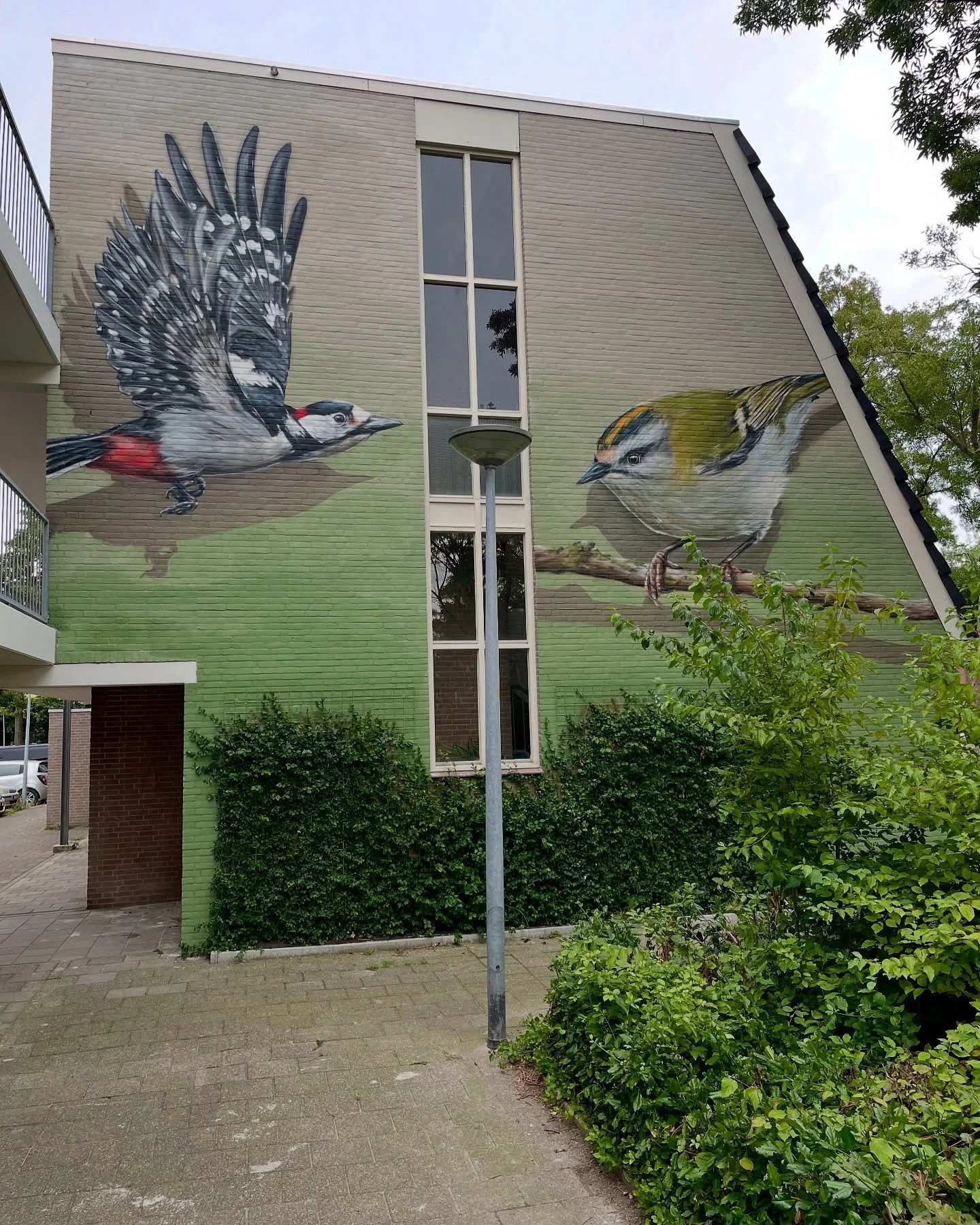 Al een jaar geen muur meer gepost kom ik achter. Oeps 😀
Vanaf nu: een terugblik op mijn favoriete muren van het afgelopen jaar.
Eerst stop: Alkmaar. Voor deze schildering heb ik twee van @wouter.cardoen zijn foto&rsquo;s gebruikt. Nogmaals dank! #st