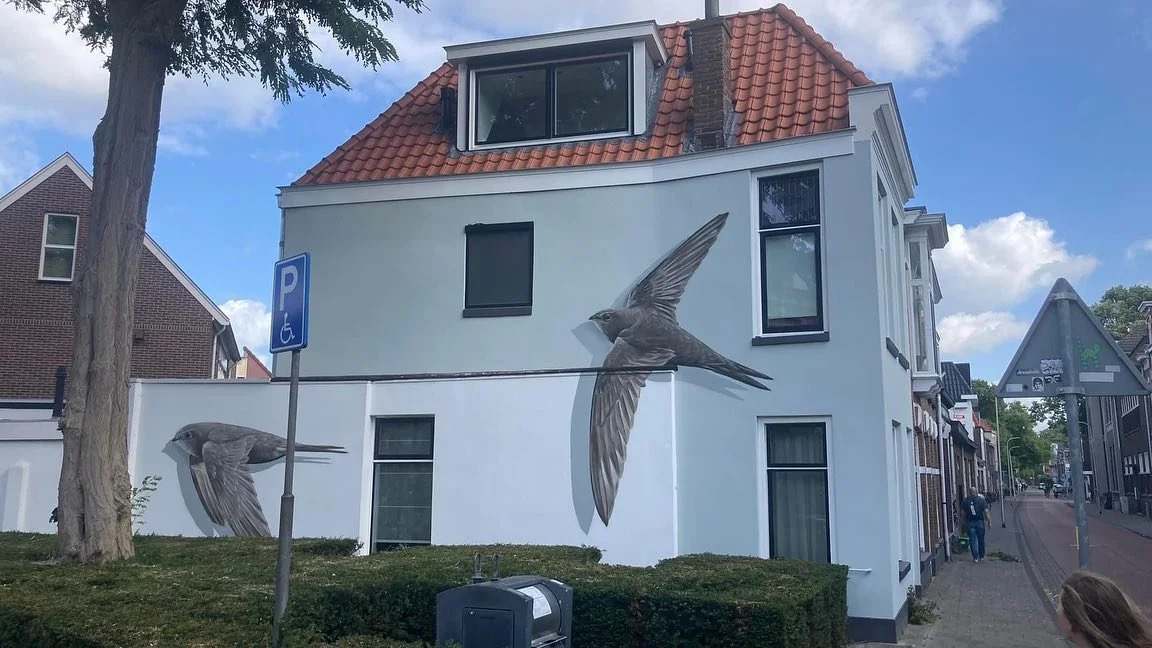 Ik loop flink achter met het posten van afgeronde projecten :) Dit was een van mijn favoriete muren van afgelopen zomer. De bewoners genoten elke zomer zo intens van de gierzwaluwen boven hun woning in het centrum van Zwolle dat ze op zoek gingen naa