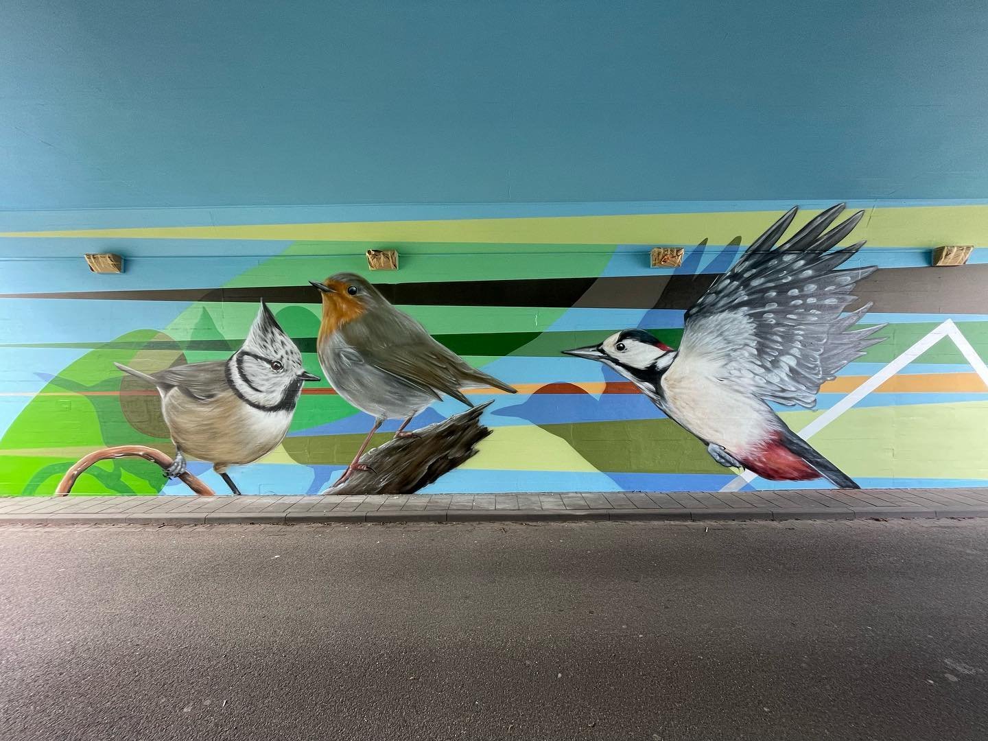 Spoorviaduct Westervoort 2023
#muurschildering #westervoort #biddlebrug