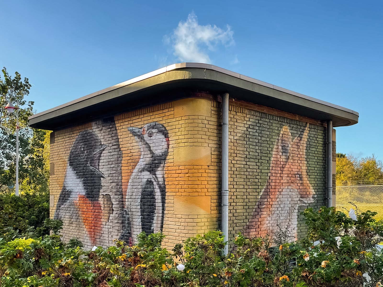 Muurschildering elektriciteitshuisje - vogels en dieren