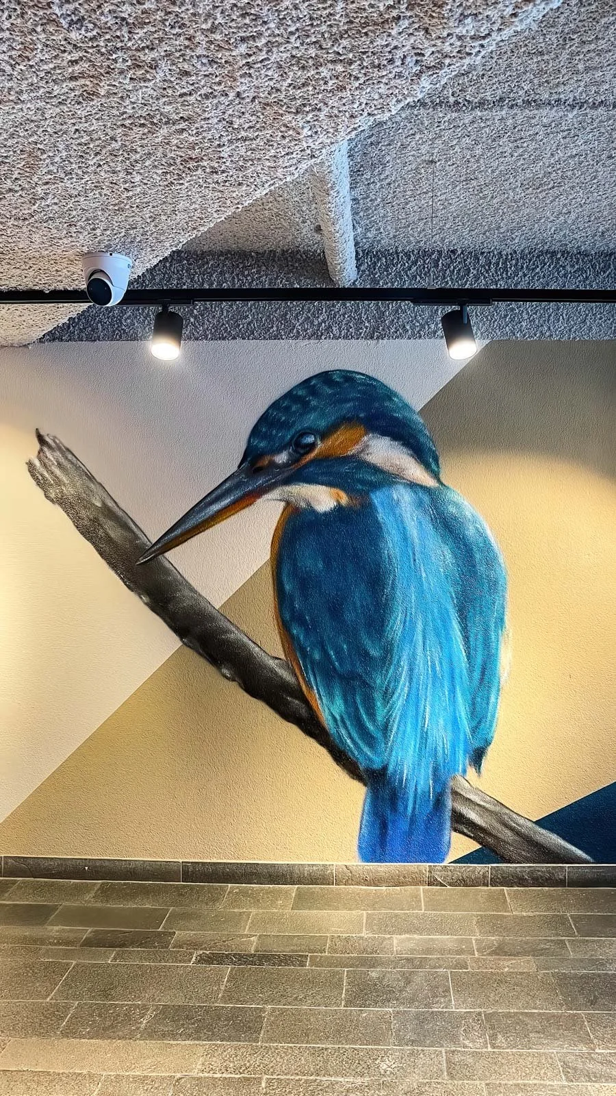 Muurschildering ijsvogel