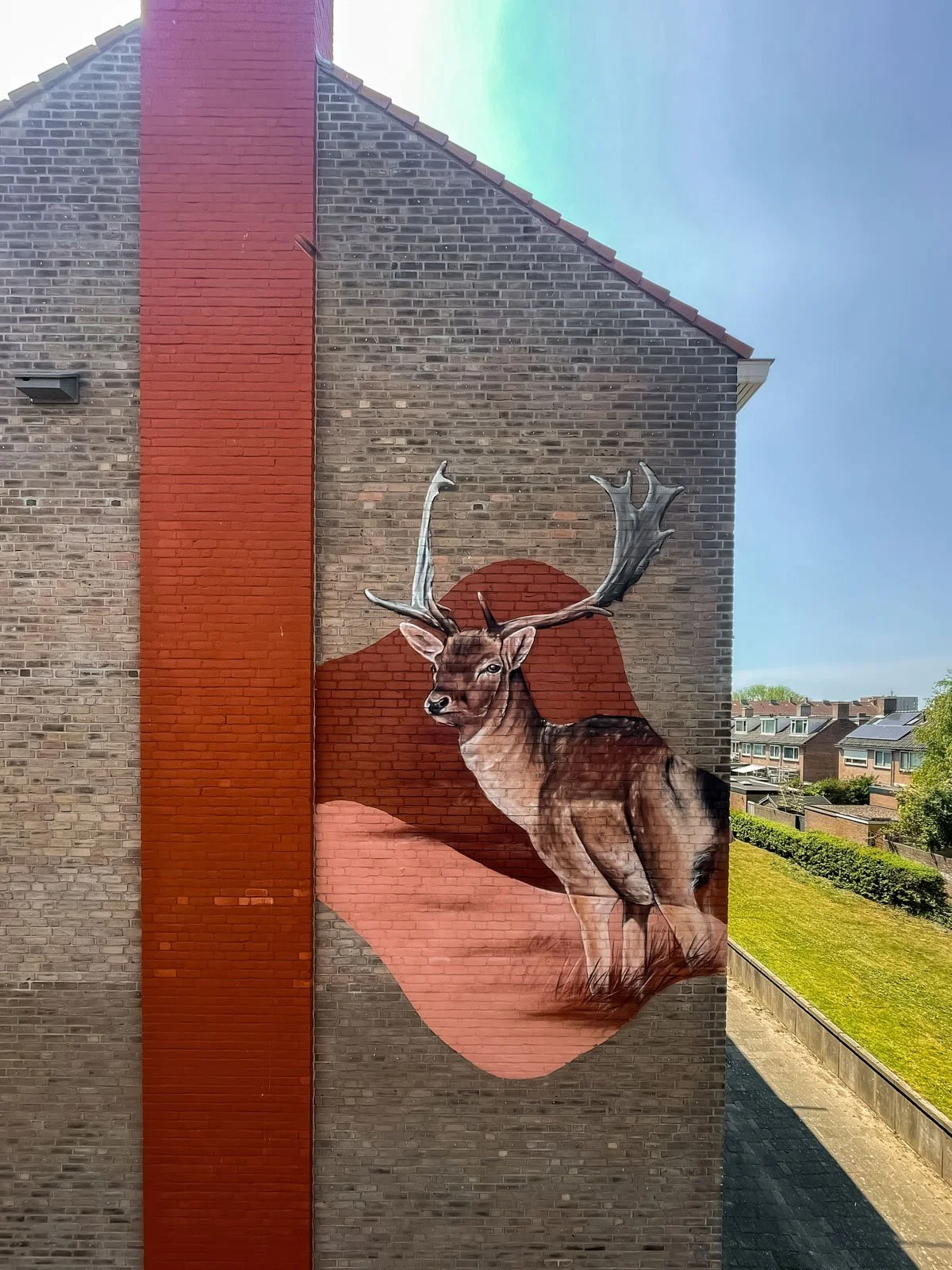 © Joost Zwanenburg - Street Art_Graffiti_Muurschilderingen-57.jpg