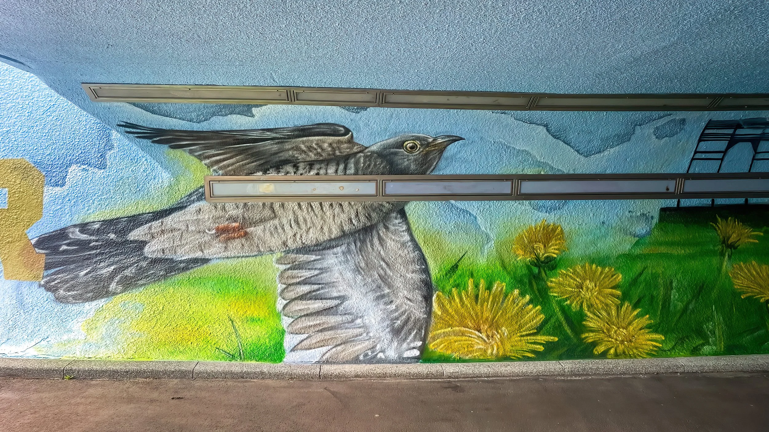 Muurschildering natuur fietstunnel - koekoek