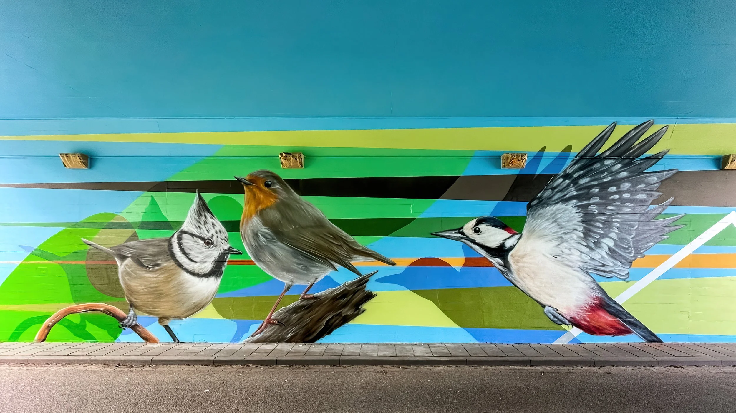 Muurschildering tunnel - Vogels