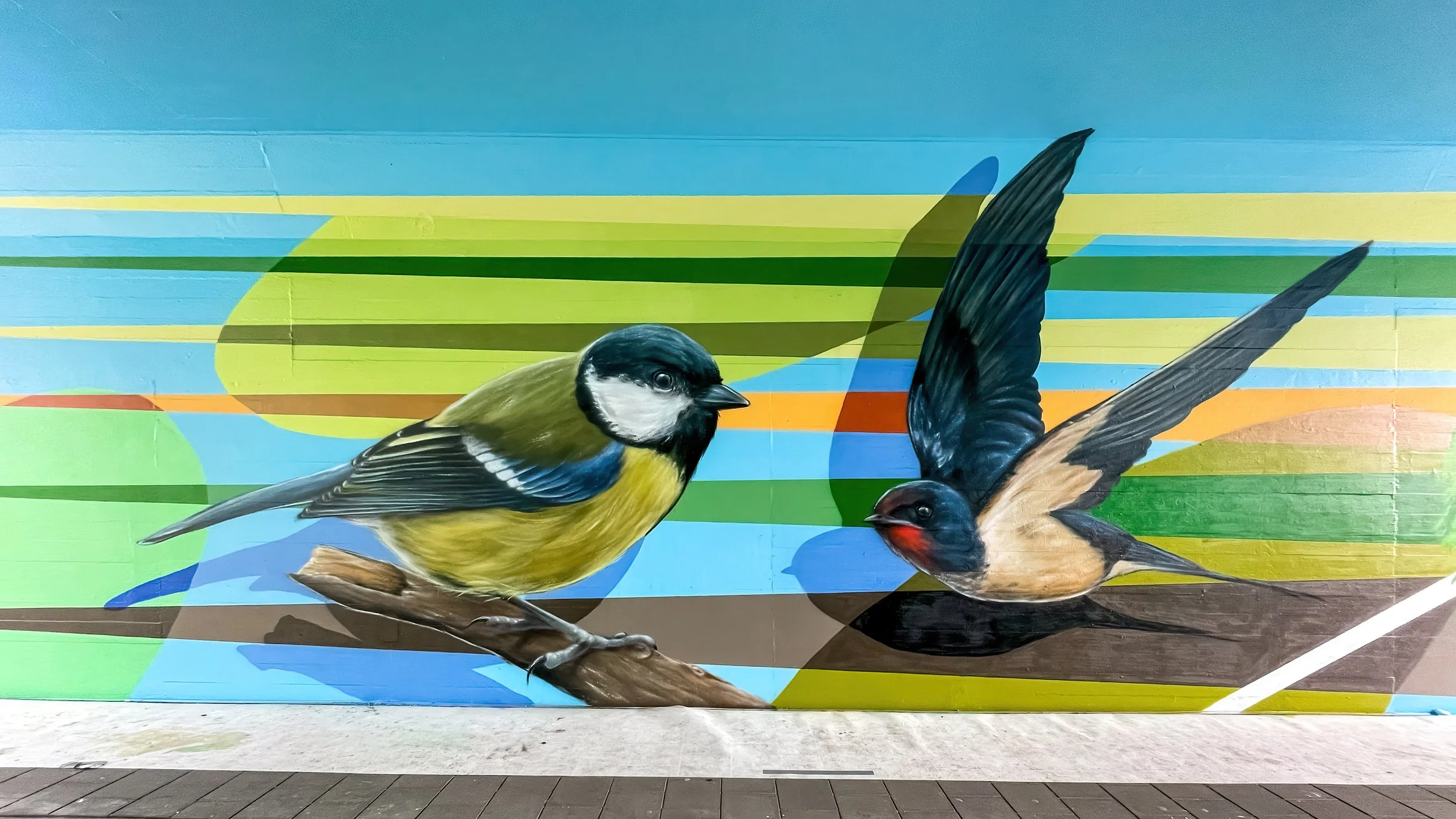 Muurschildering tunnel - Vogels