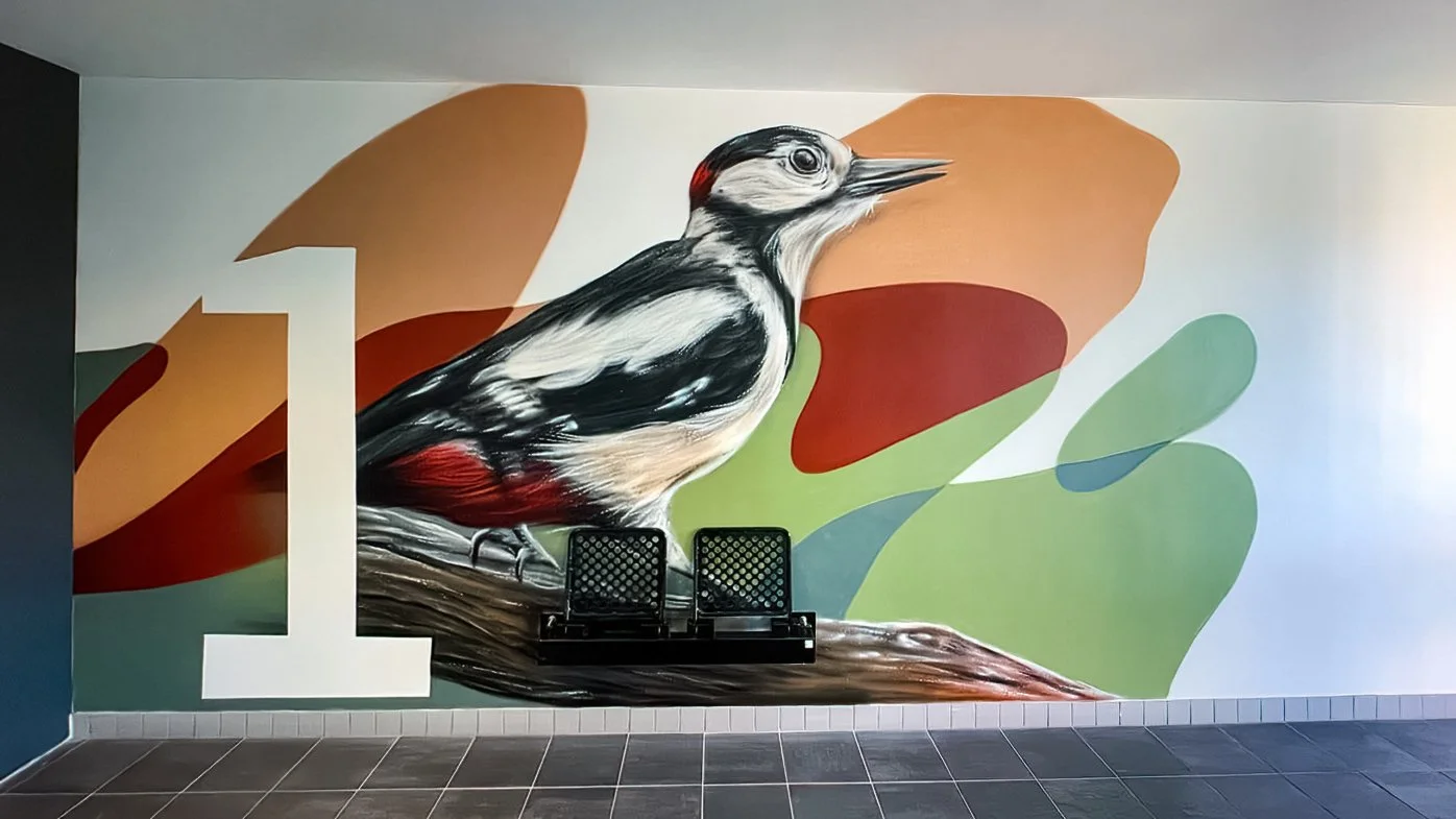 © Joost Zwanenburg - Street Art_Graffiti_Muurschilderingen-89.jpg