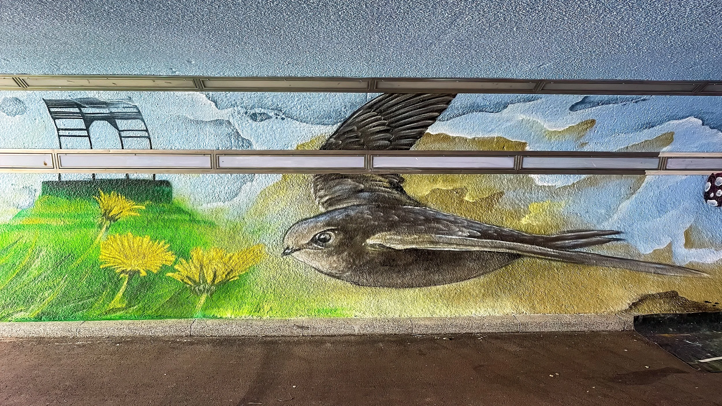 Muurschildering natuur fietstunnel - gierzwaluw