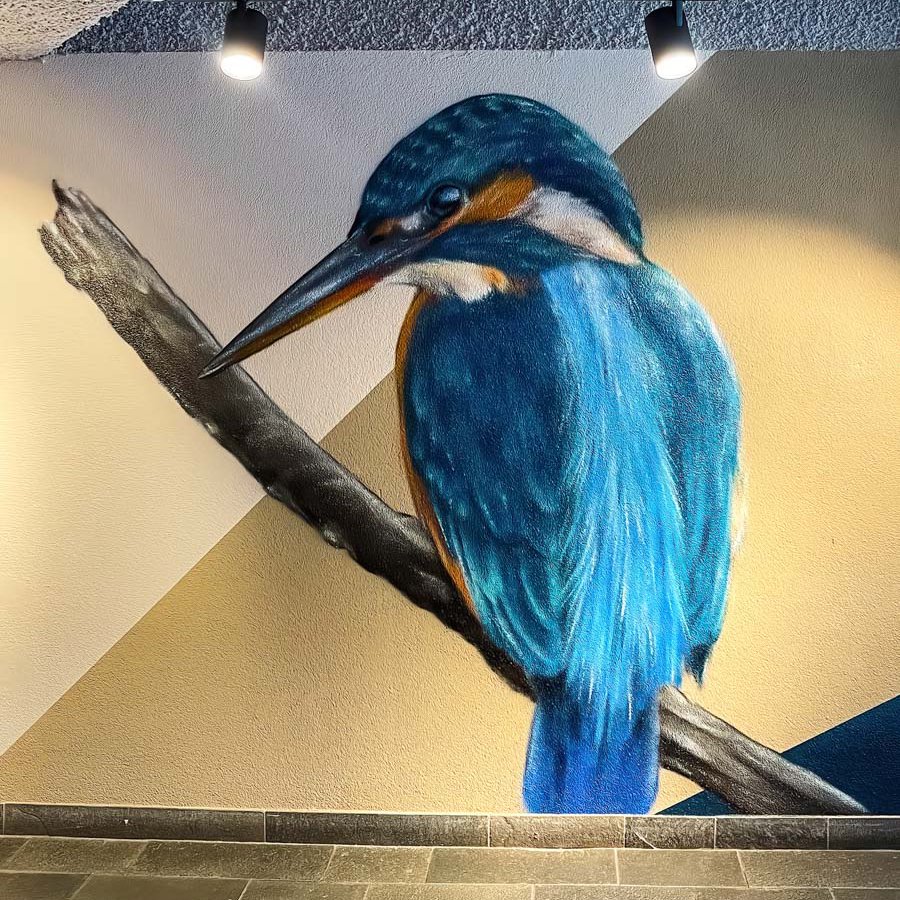 © Joost Zwanenburg - Street Art_Graffiti_Muurschilderingen-23-2.jpg