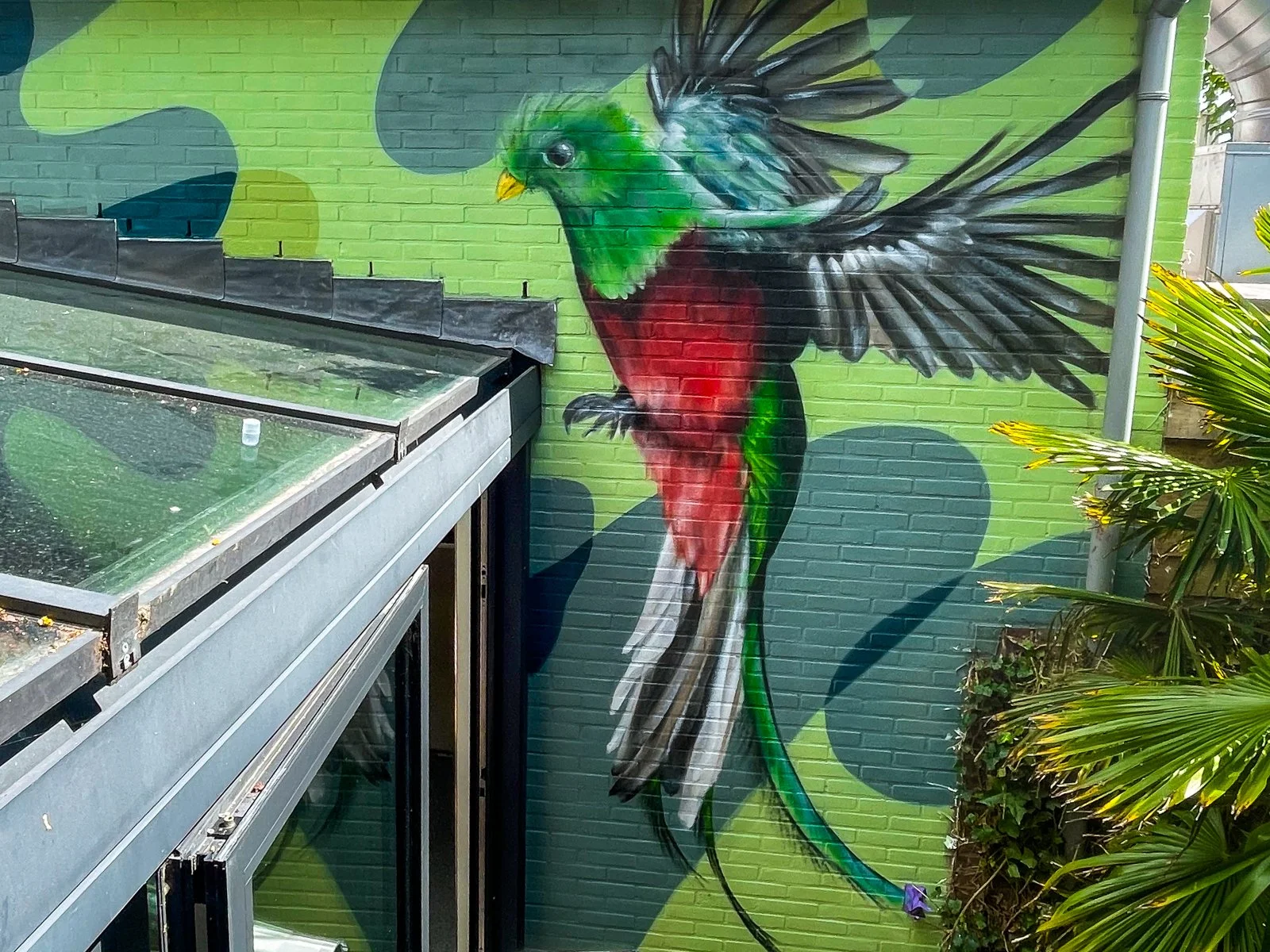 Quetzal - Pura Vida Terschelling