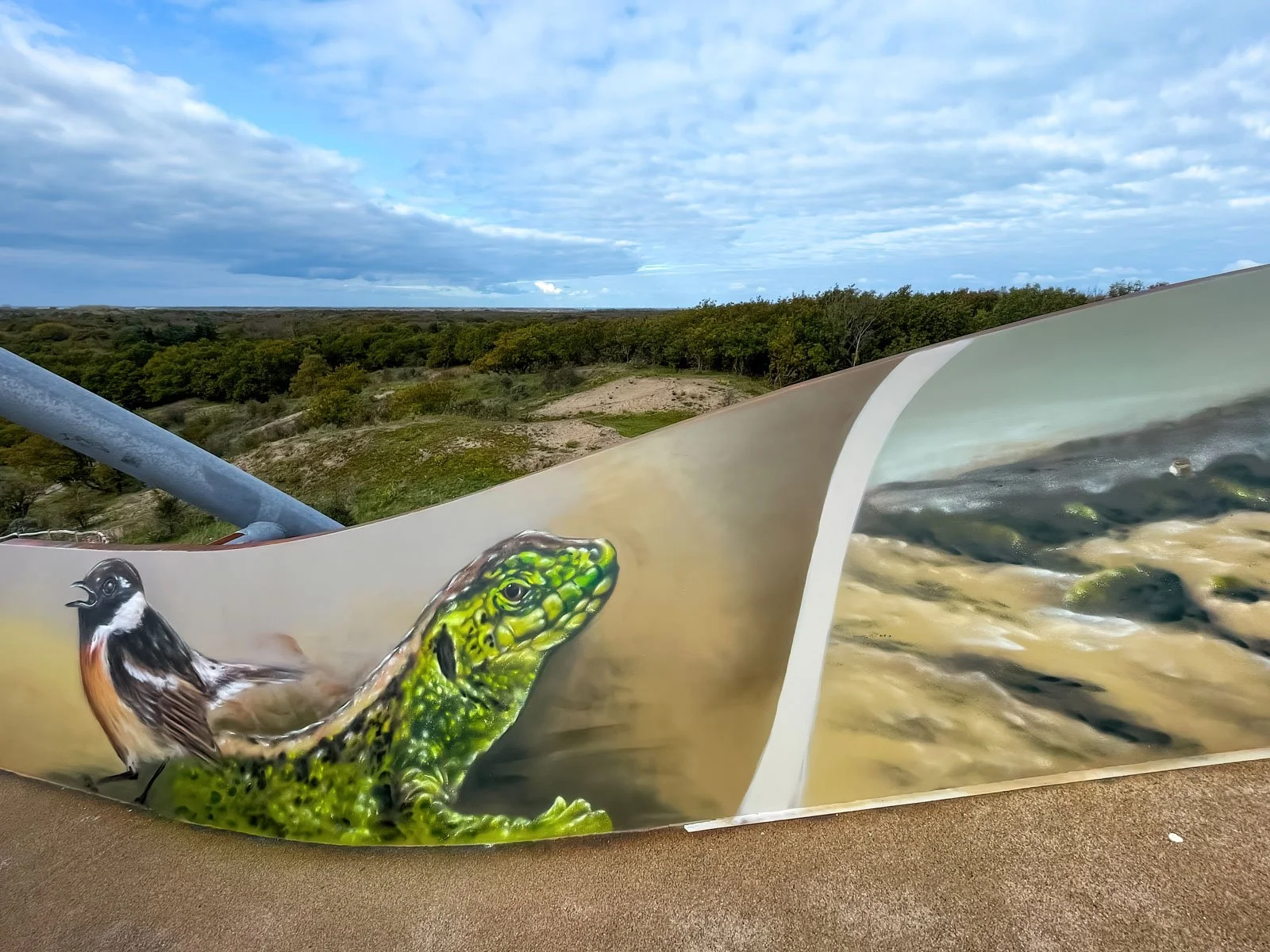 © Joost Zwanenburg - Street Art_Graffiti_Muurschilderingen-73.jpg