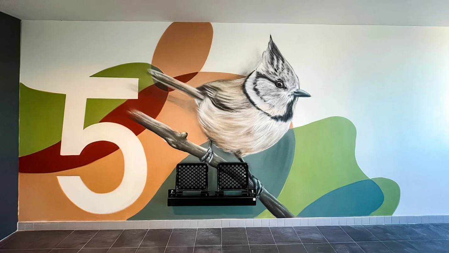 © Joost Zwanenburg - Street Art_Graffiti_Muurschilderingen-88.jpg