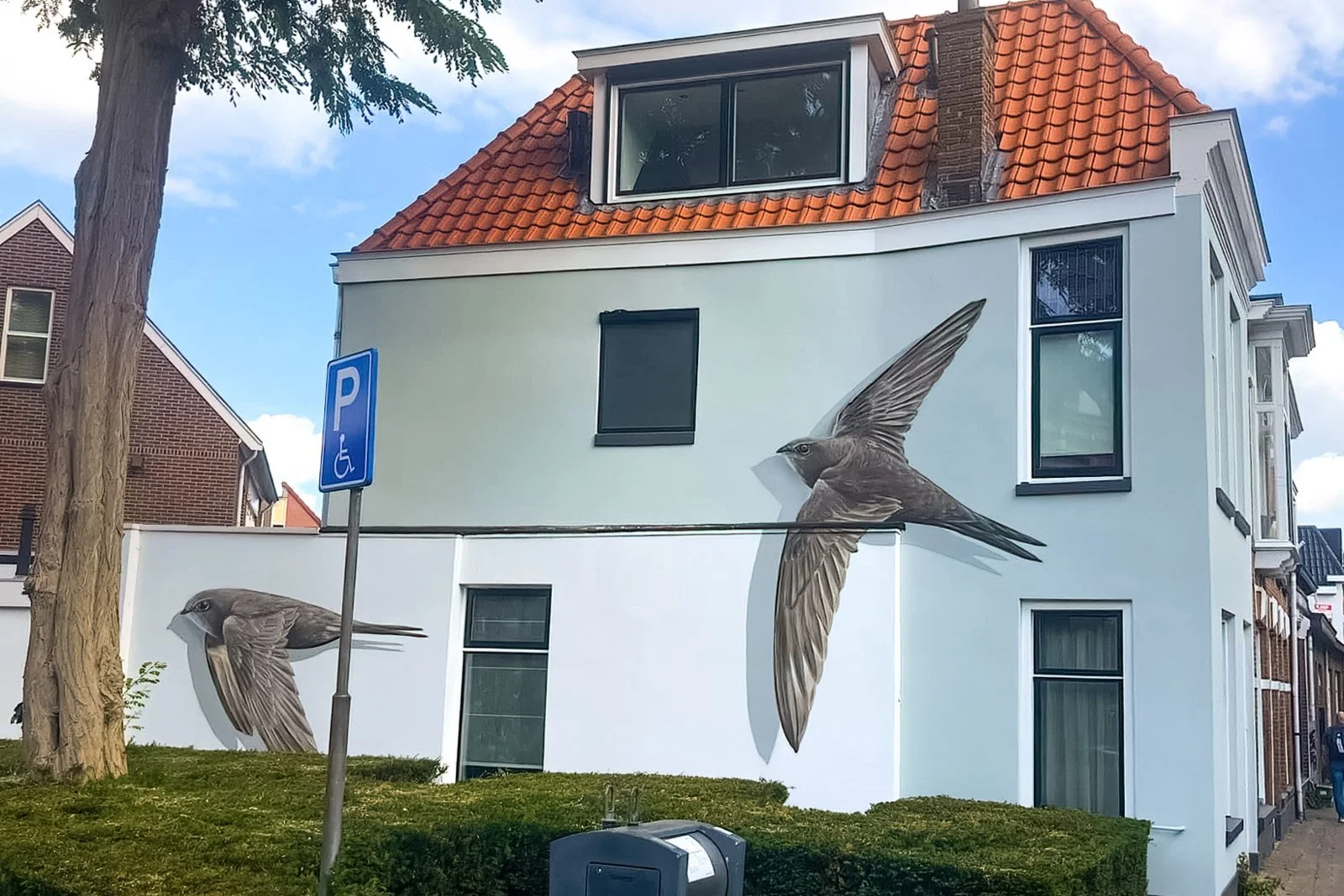 Muurschildering gevel - Gierzwaluw