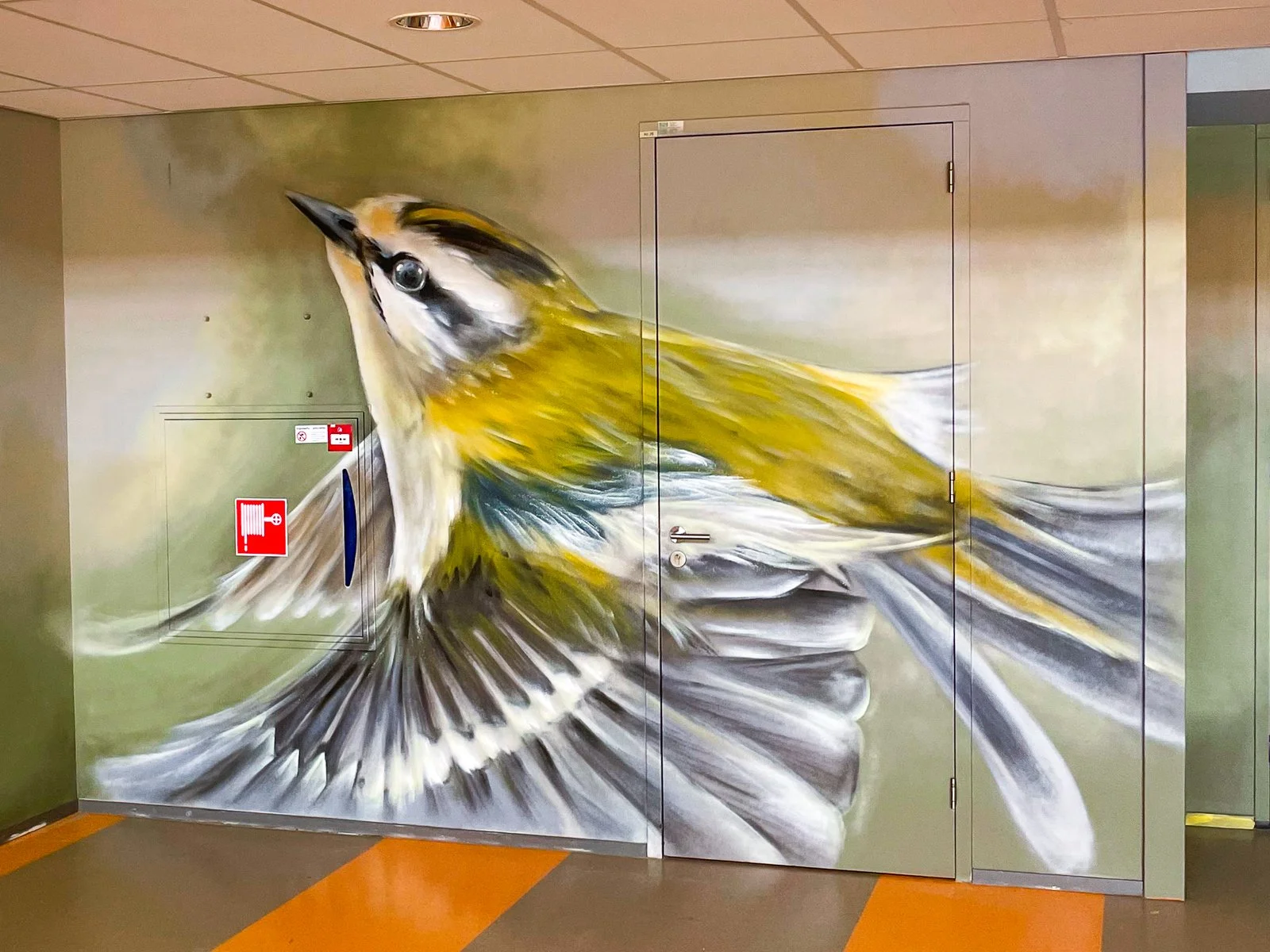 © Joost Zwanenburg - Street Art_Graffiti_Muurschilderingen-8.jpg