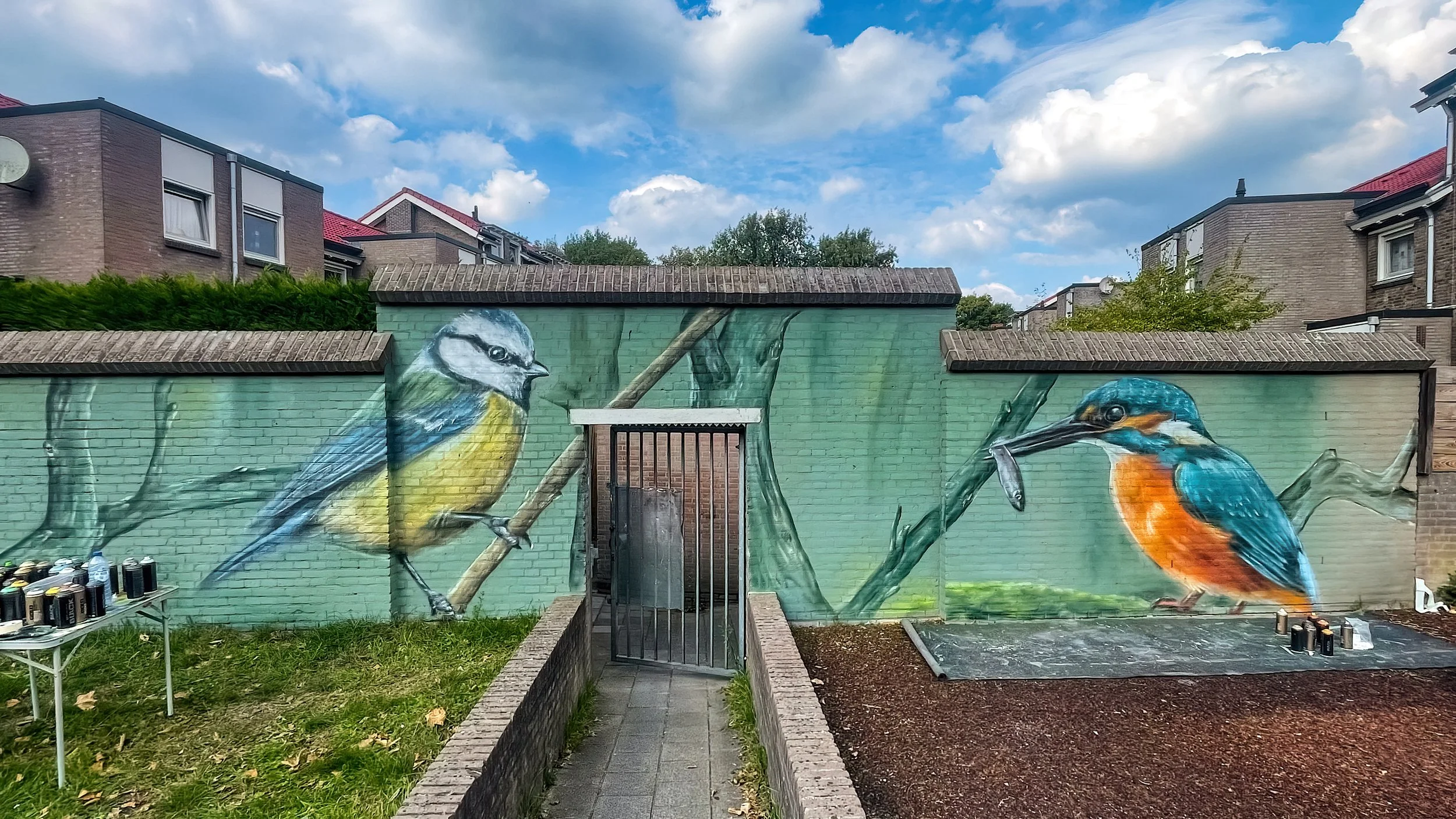 Muurschildering gevel woonwijk - vogels