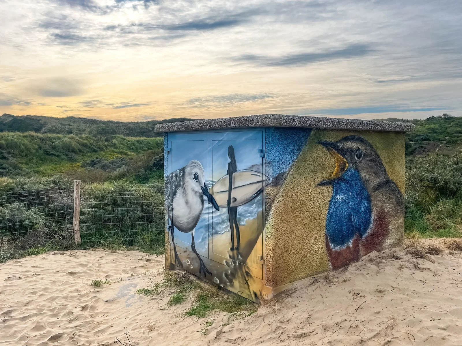 Street art - elektriciteitshuisje PWN Kennemerduinen