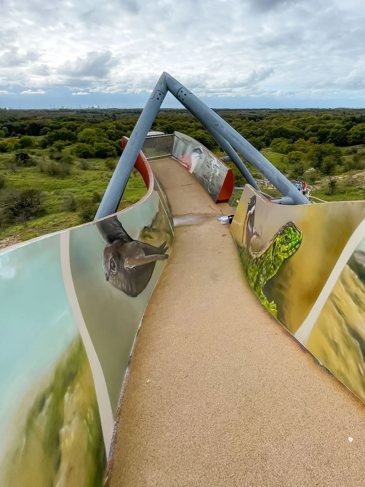 © Joost Zwanenburg - Street Art_Graffiti_Muurschilderingen-75.jpg