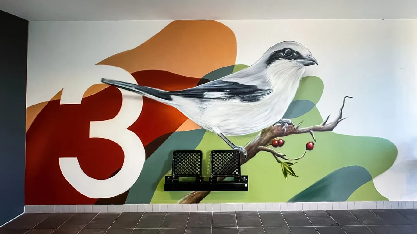 © Joost Zwanenburg - Street Art_Graffiti_Muurschilderingen-92.jpg