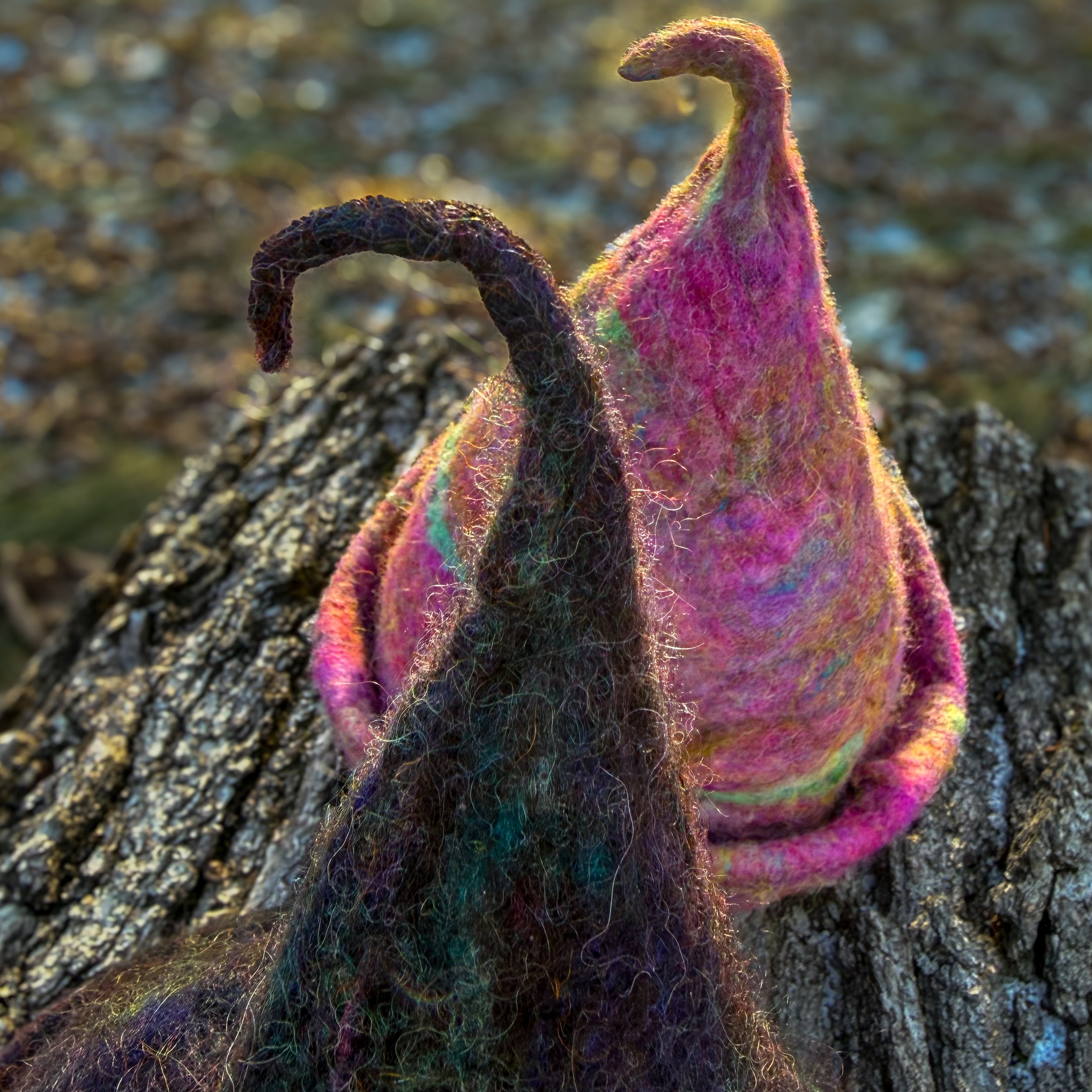 Two hand-felted trainee witch hats with bent points, one pink and one dark-toned, displayed together on a tree log outdoors.