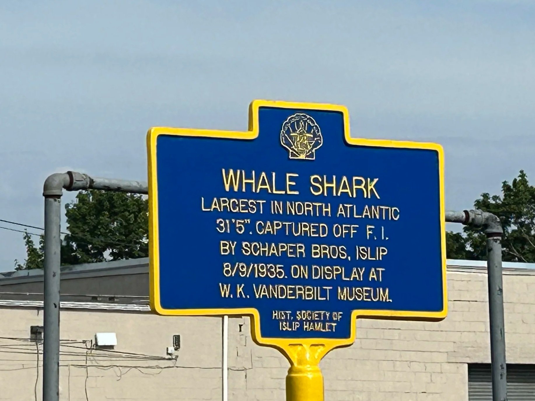 Whale Shark