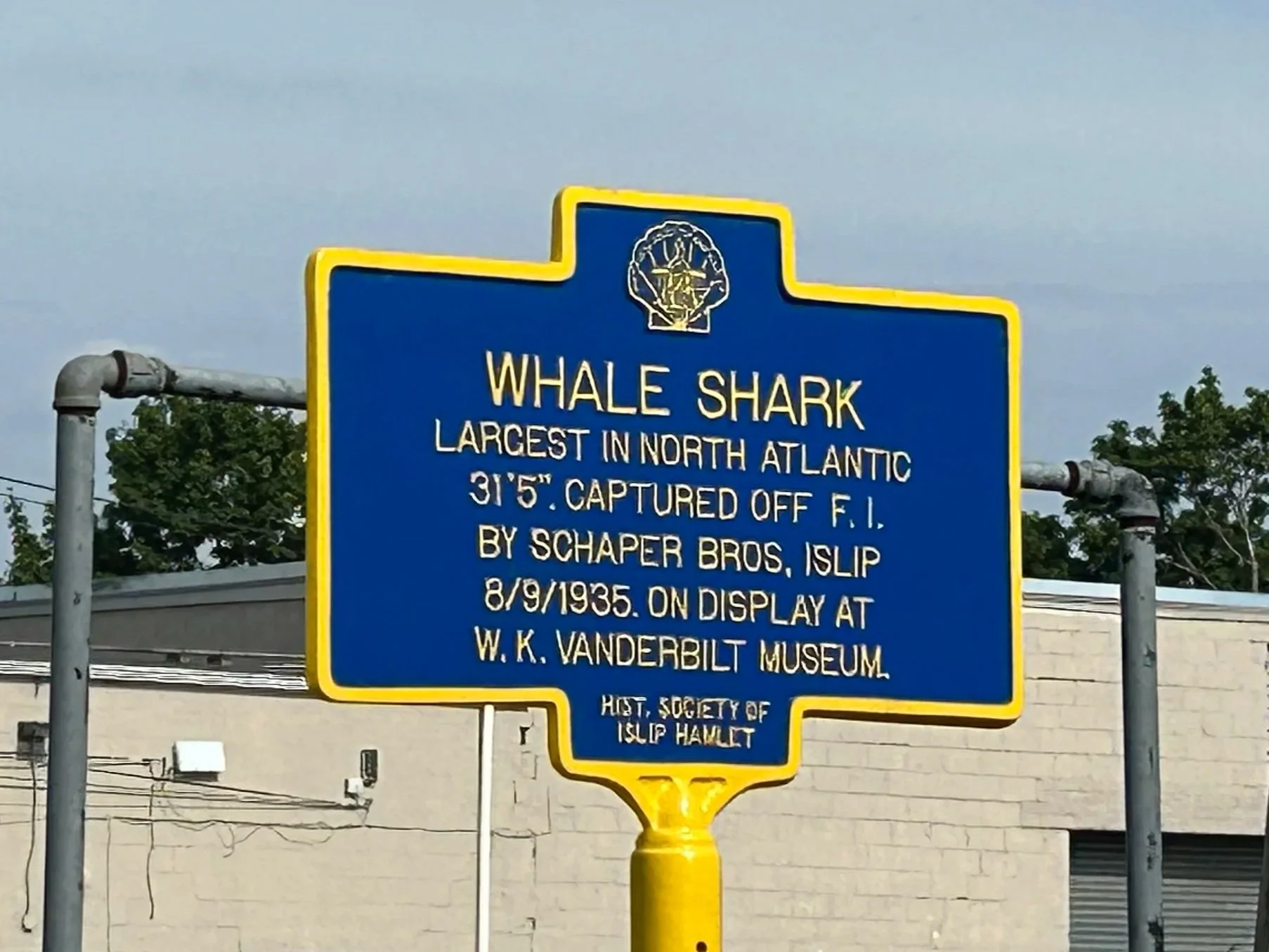 Whale Shark