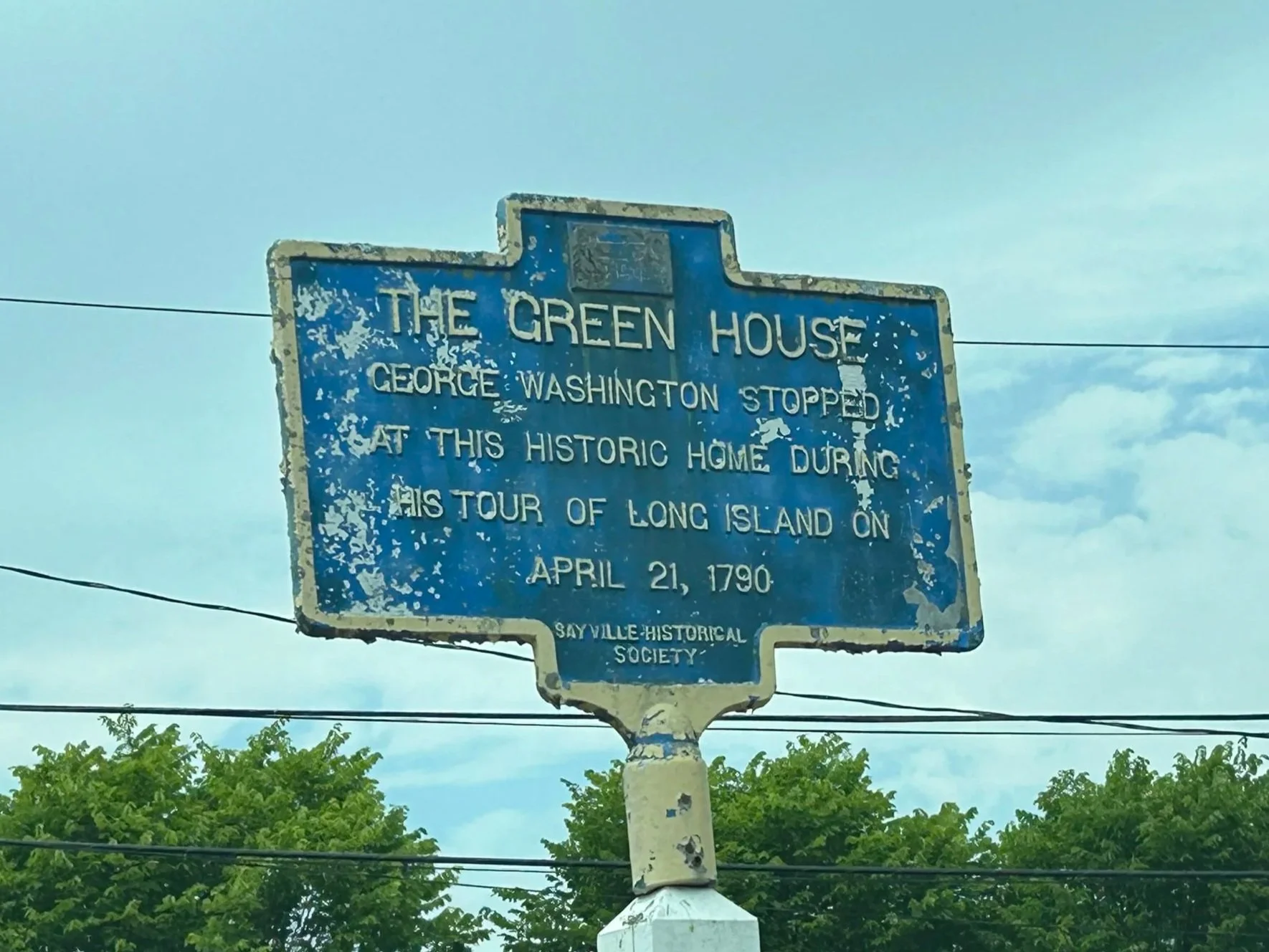 The Green House 