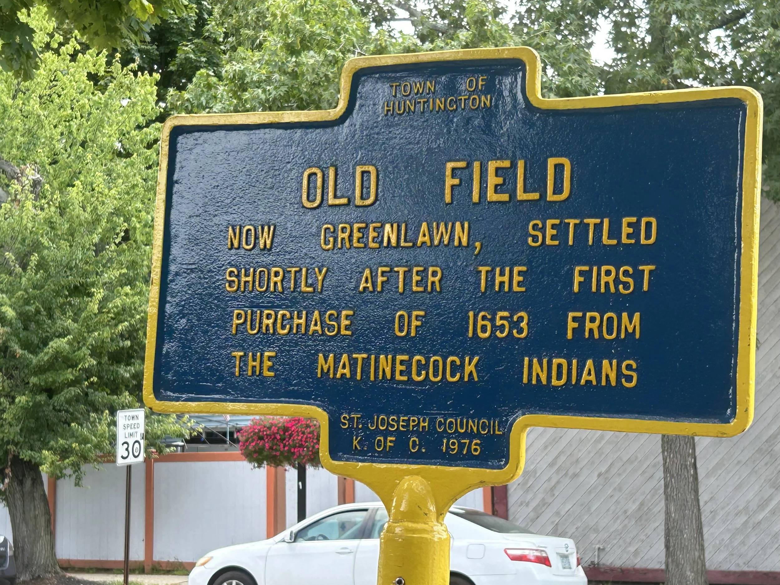 Old Field