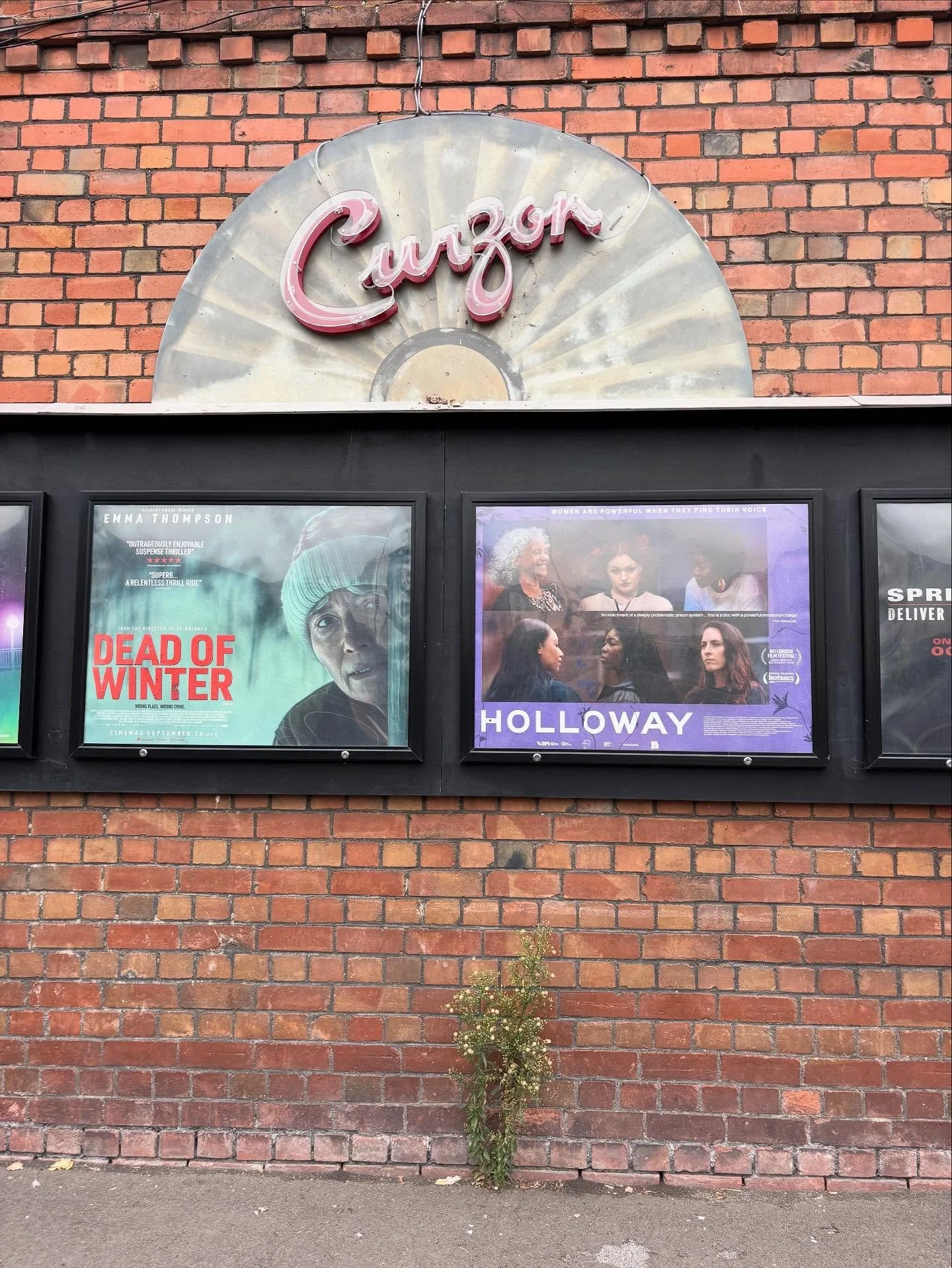A few snapshots from our screening of Holloway at Curzon Clevedon (just outside Bristol) just over a week ago! There was an immensely powerful Q&amp;A after with representatives from @flygirlfoundation_cic @changingtunes and the @thenelsontrust - spe