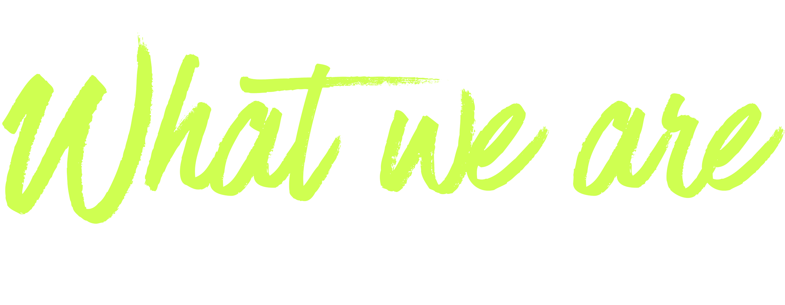 Stylized green text reading 'What we are' on a black background.