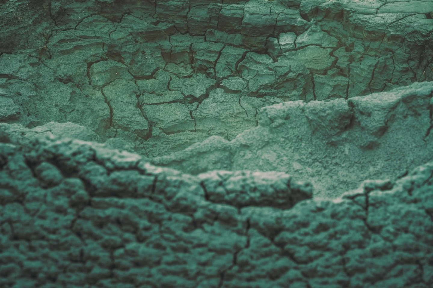 earth unsewn