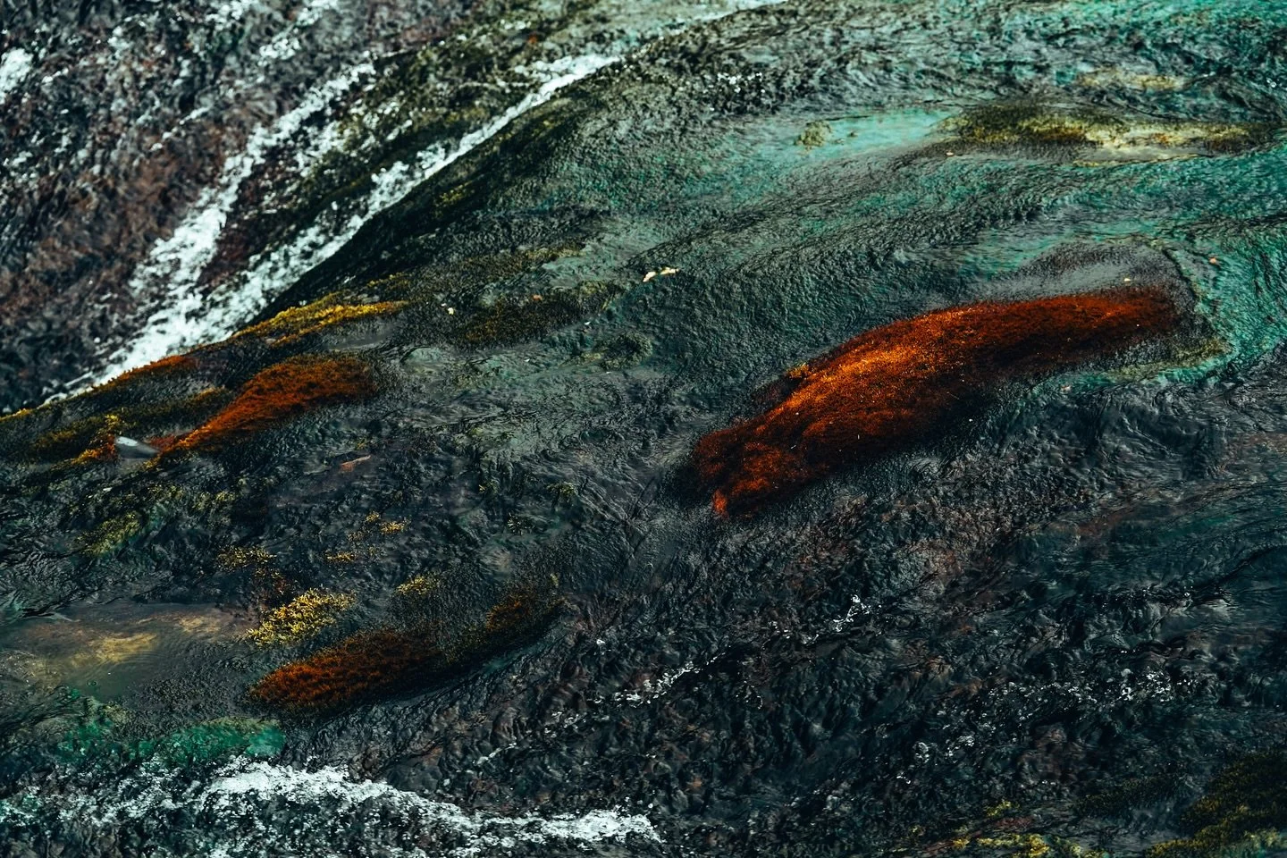 vermilion brushstrokes