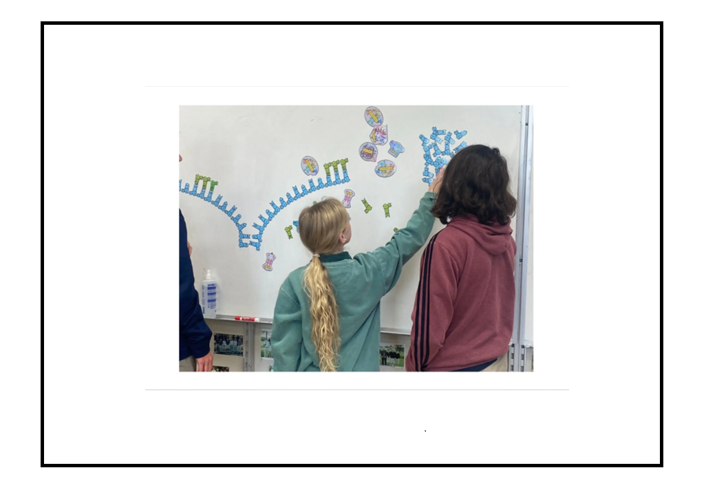 Screenshot 2026-01-25 142644.png