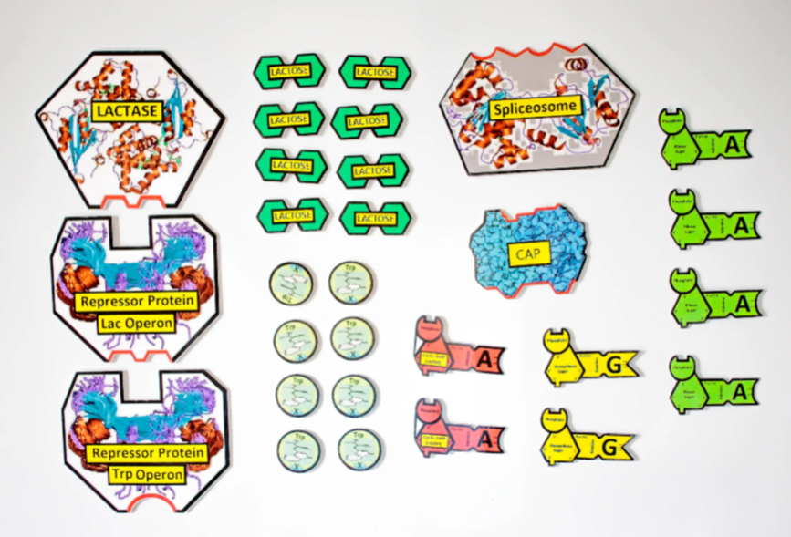 Module 6 Supplement.png